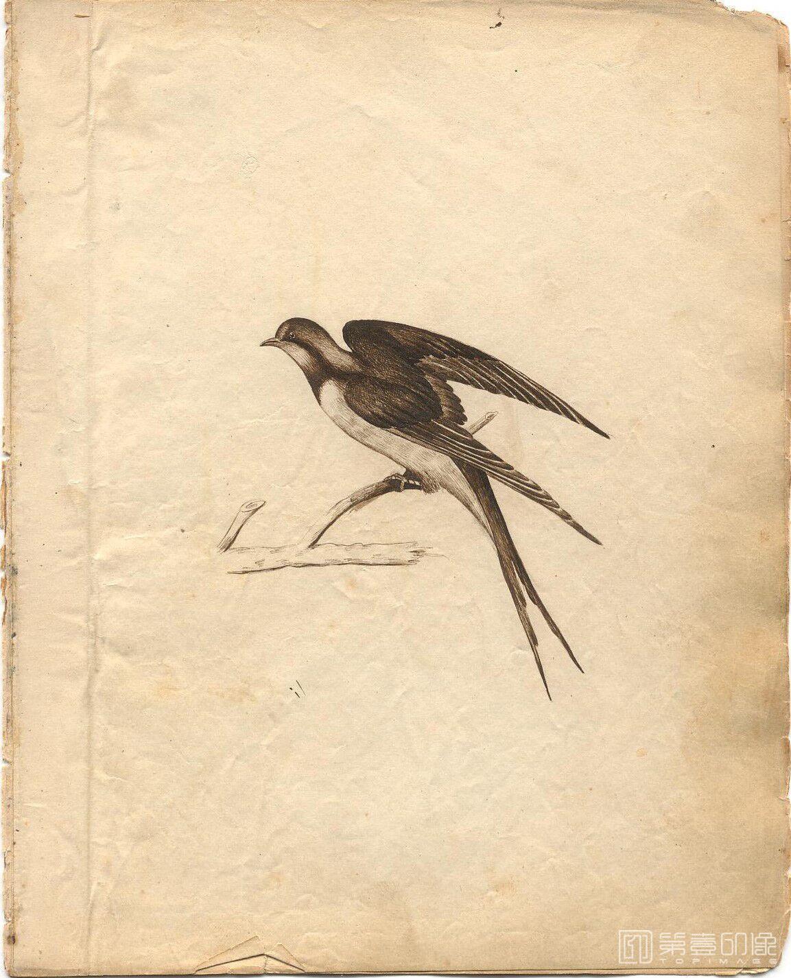 手绘-The Daniel T.Ames Notebook.by Daniel T.Ames.c1879-089