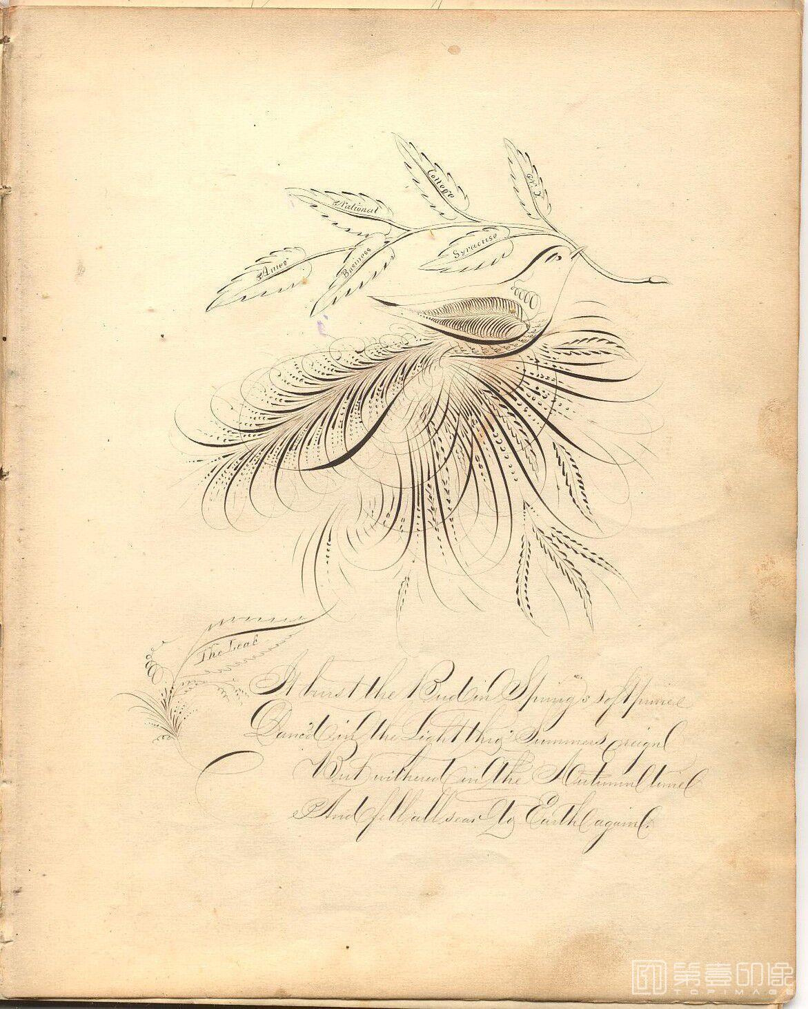 艺术设计-The Daniel T.Ames Notebook.by Daniel T.Ames.c1879-012