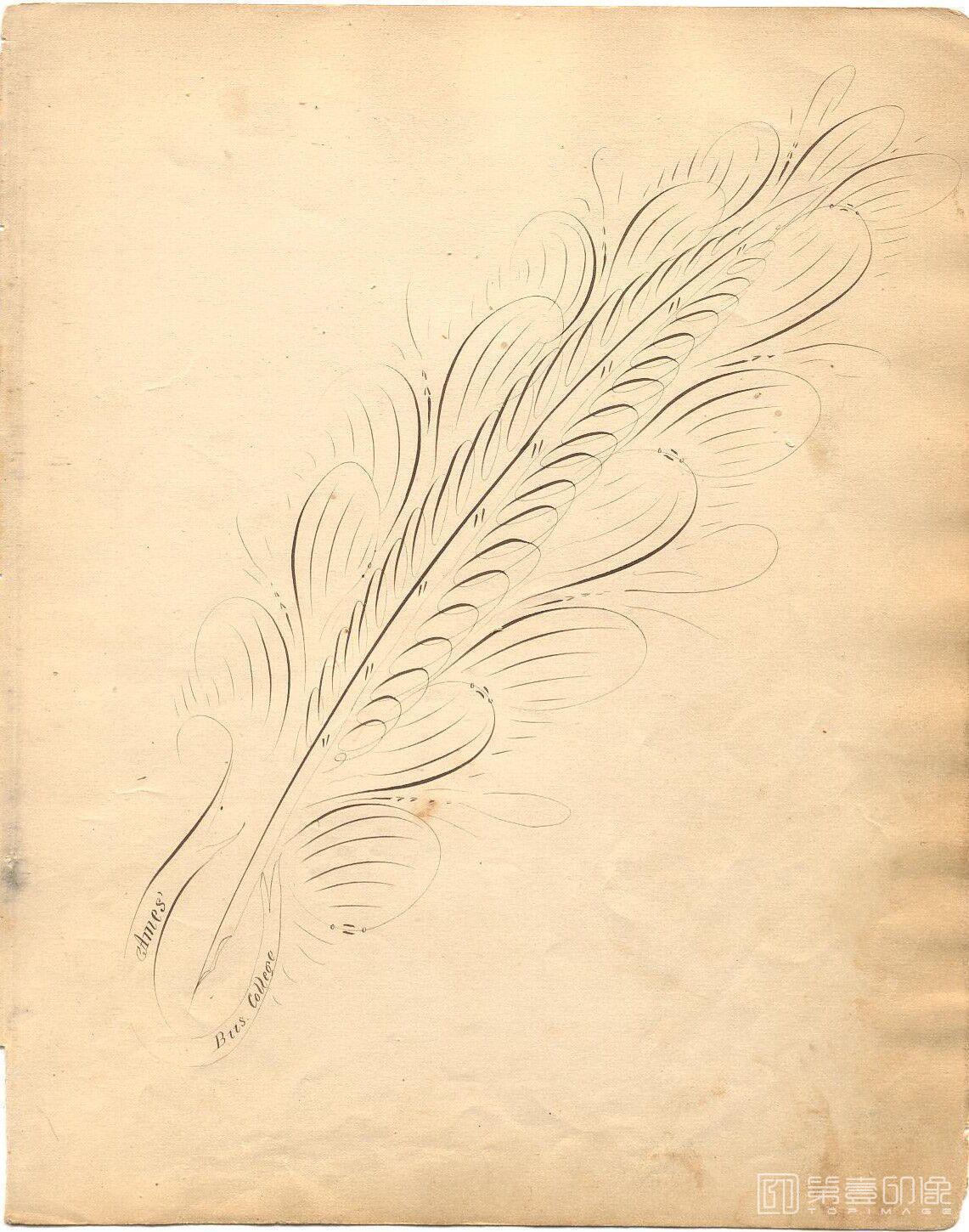艺术设计-The Daniel T.Ames Notebook.by Daniel T.Ames.c1879-026