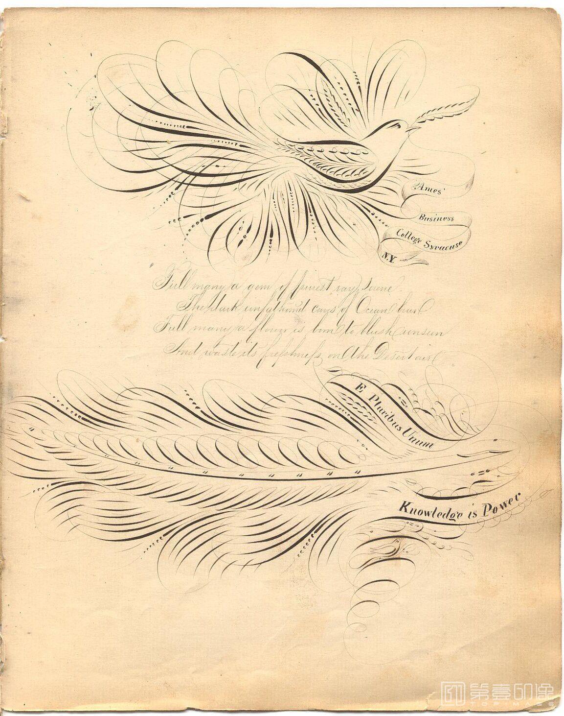 手绘-The Daniel T.Ames Notebook.by Daniel T.Ames.c1879-071