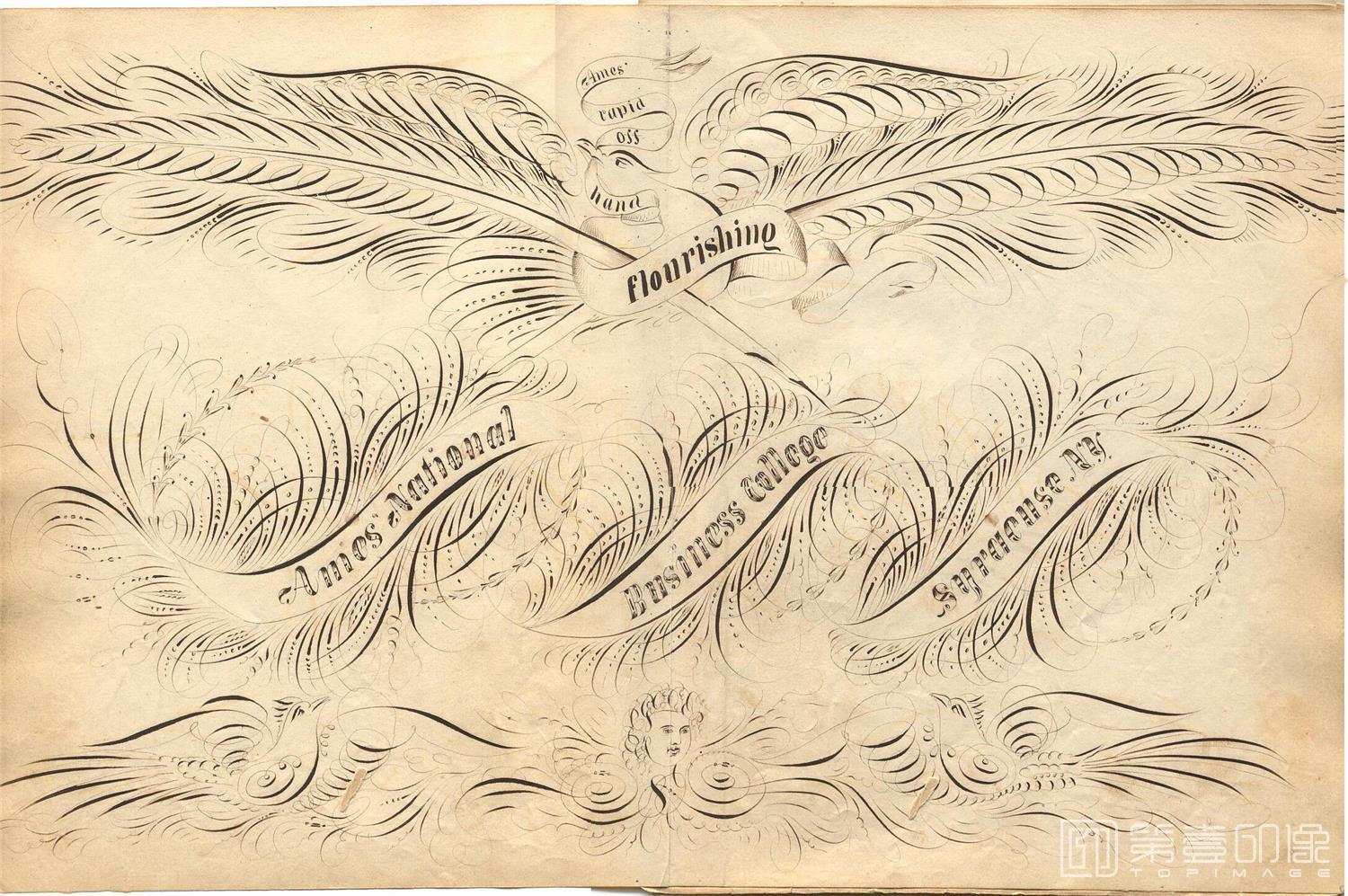 手绘-The Daniel T.Ames Notebook.by Daniel T.Ames.c1879-075