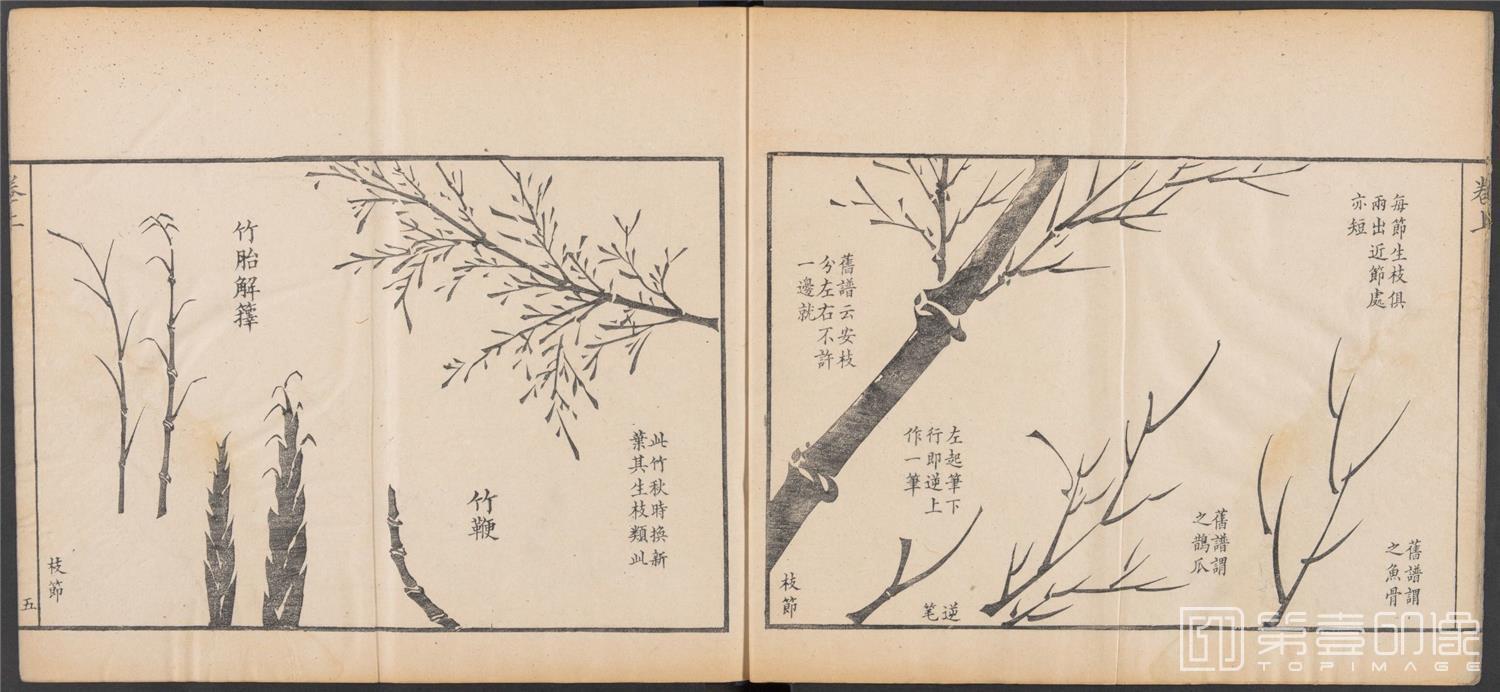 国画-写竹简明法.上下卷.清咸丰六年两广督署刊-013