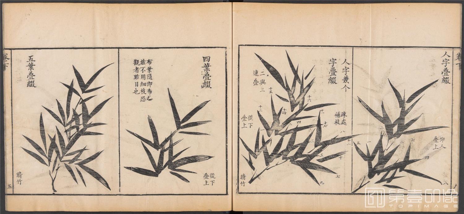国画-写竹简明法.上下卷.清咸丰六年两广督署刊-038