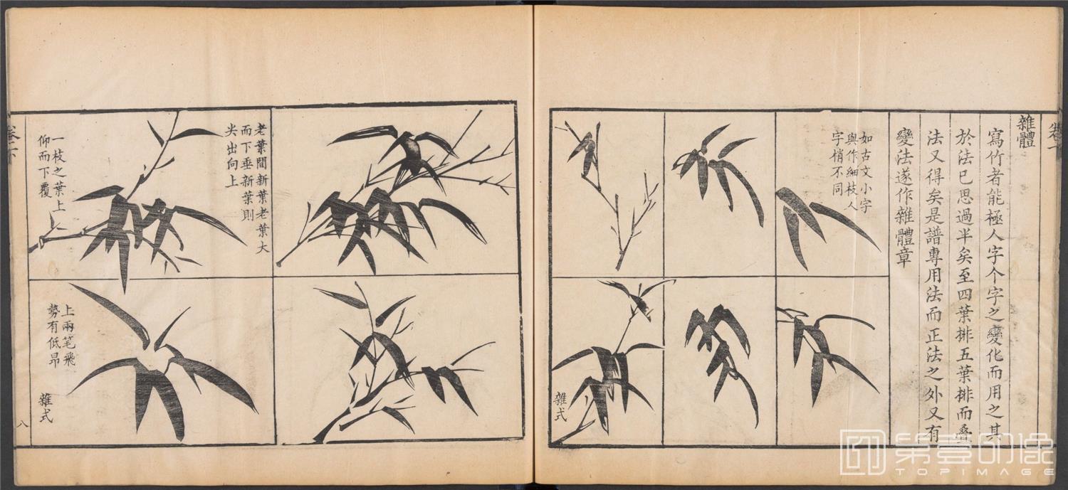 国画-写竹简明法.上下卷.清咸丰六年两广督署刊-041
