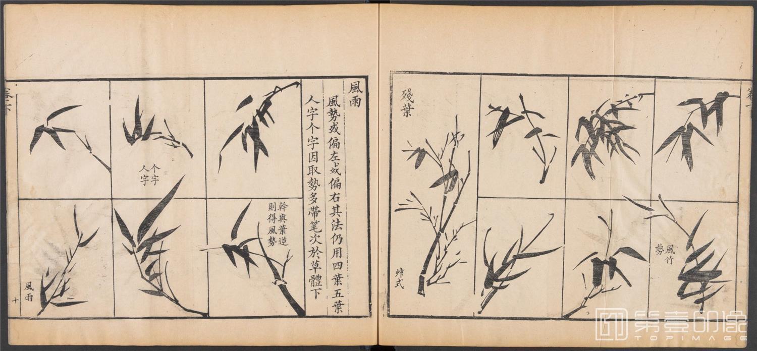 国画-写竹简明法.上下卷.清咸丰六年两广督署刊-043