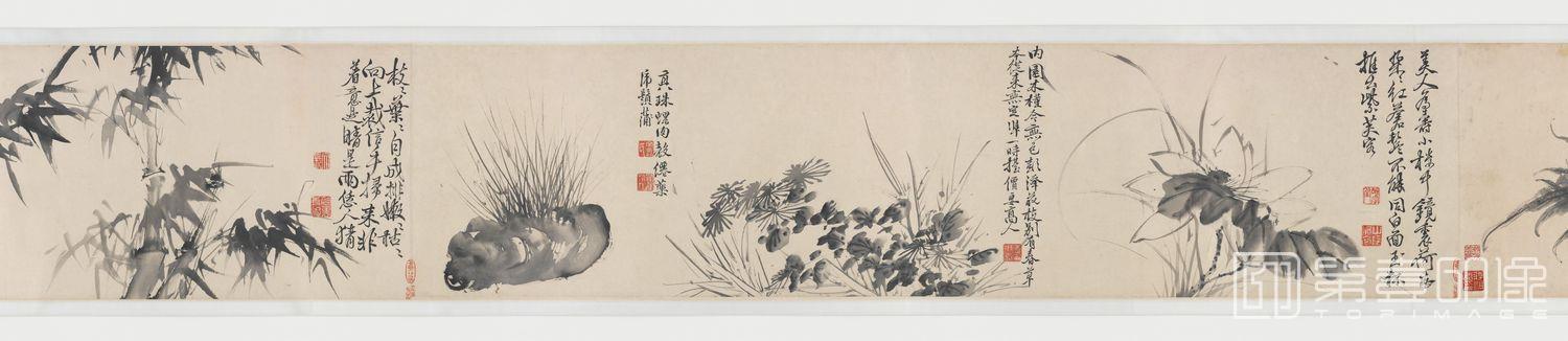 国画-十二月花卉图全卷-2 32.8×544cm