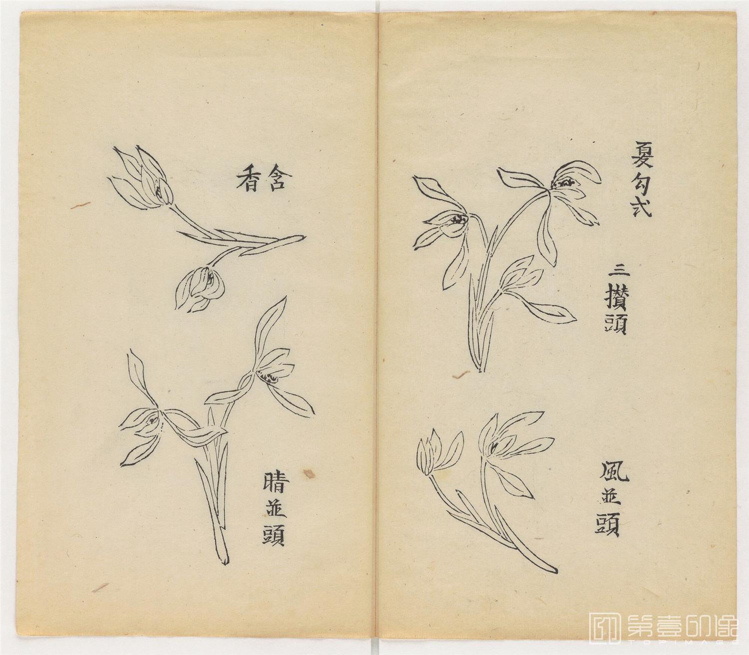 国画-十竹斋书画谱.16册.明崇祯六年南京胡氏十竹斋彩色套印本.1633年.剑桥大学图书馆藏-326