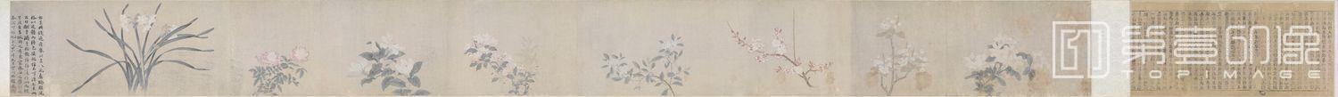 国画-八花图 29x333