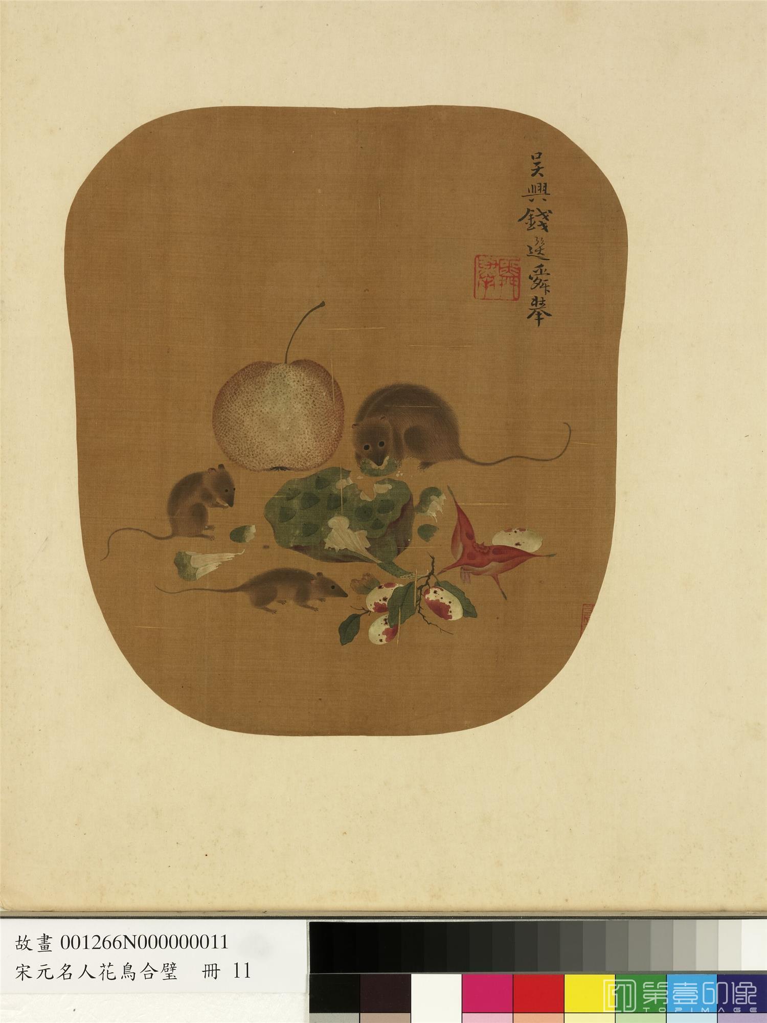 国画-莲实三鼠图 28.2x24.3