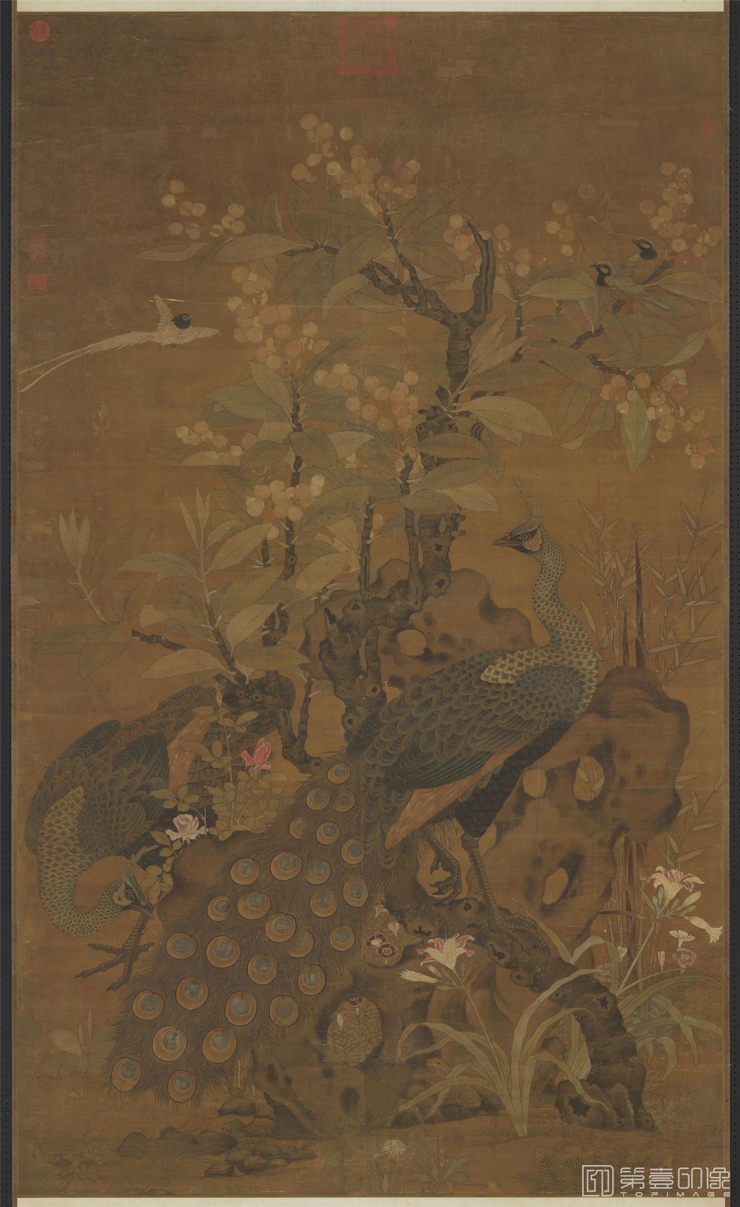 国画-枇杷孔雀轴 183.1x109.8