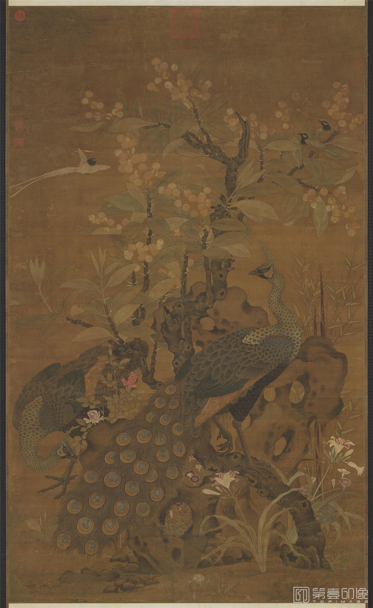 国画-画枇杷孔雀 183.1X109.8