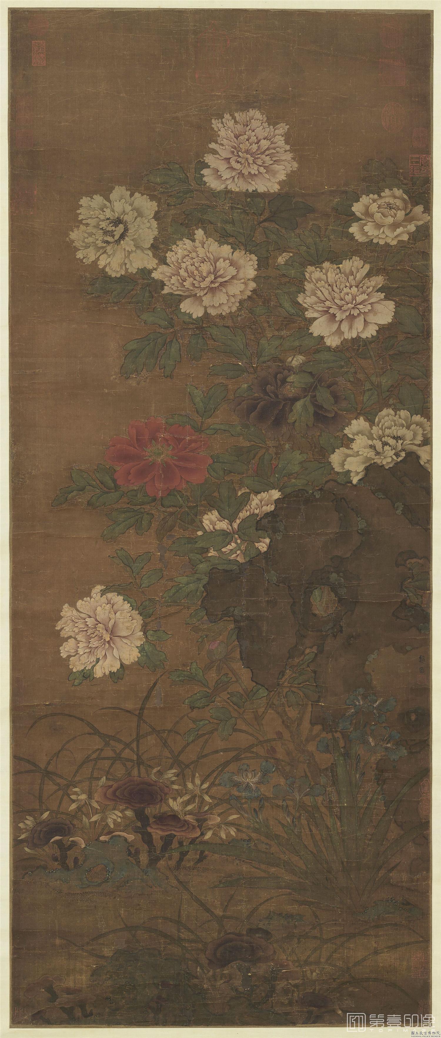国画-画牡丹图
