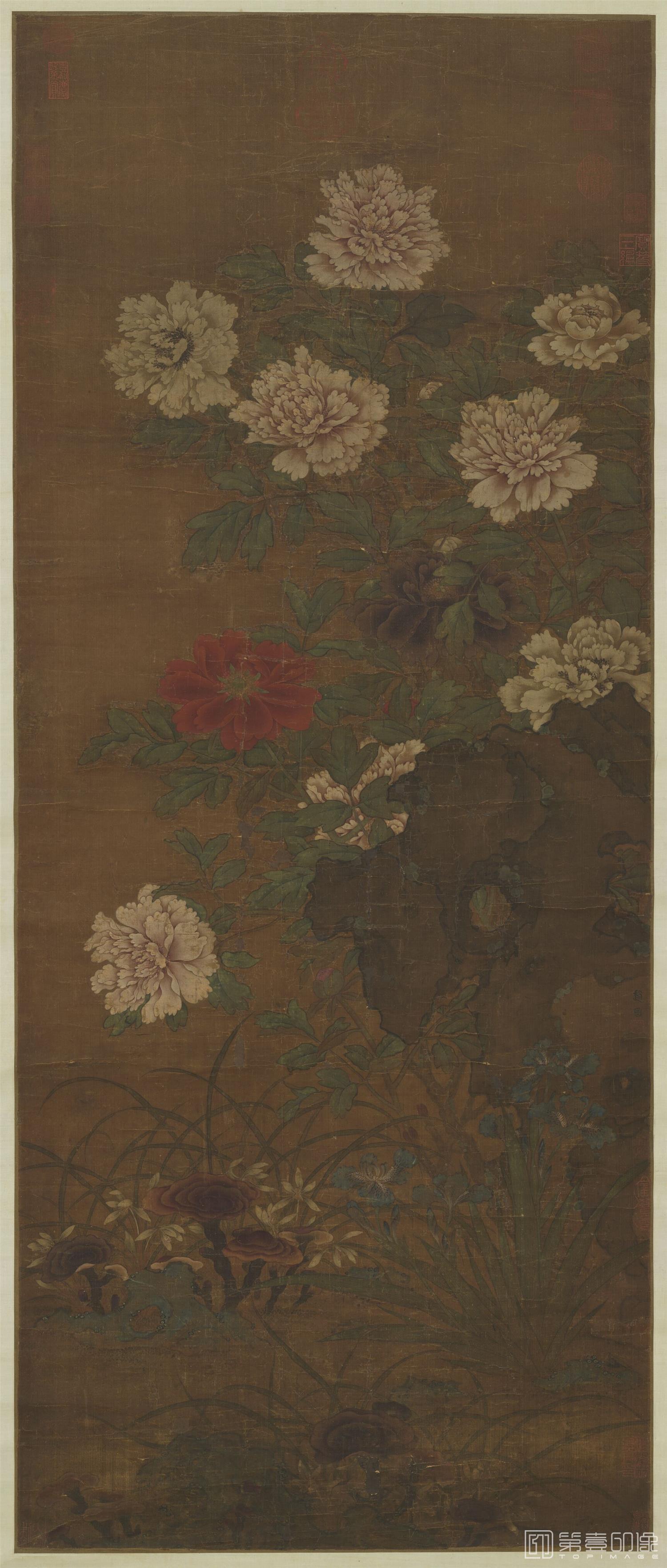 国画-画牡丹轴