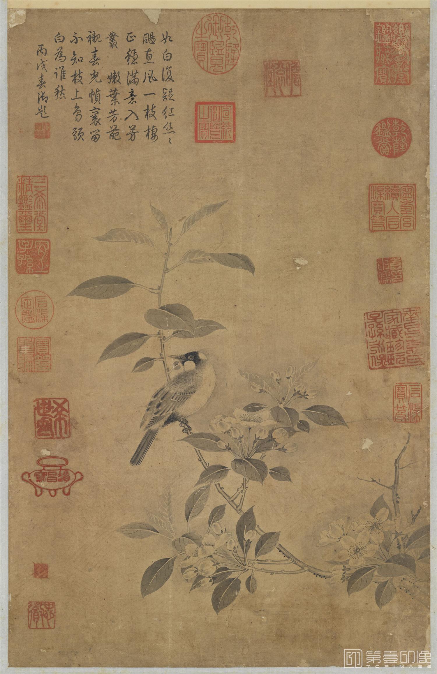 国画-画花鸟轴