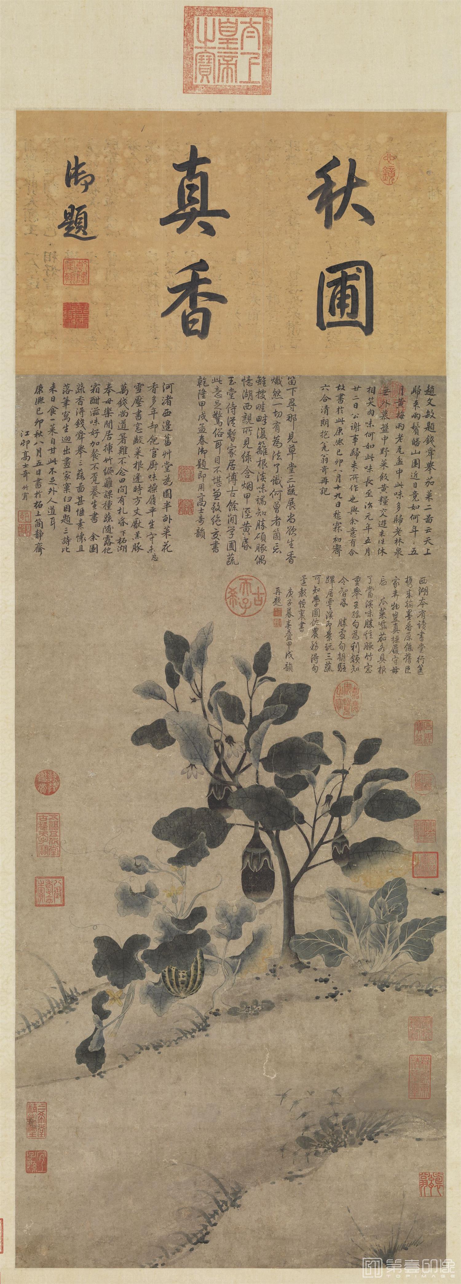 国画-宋三蔬图轴 97.6x47.4