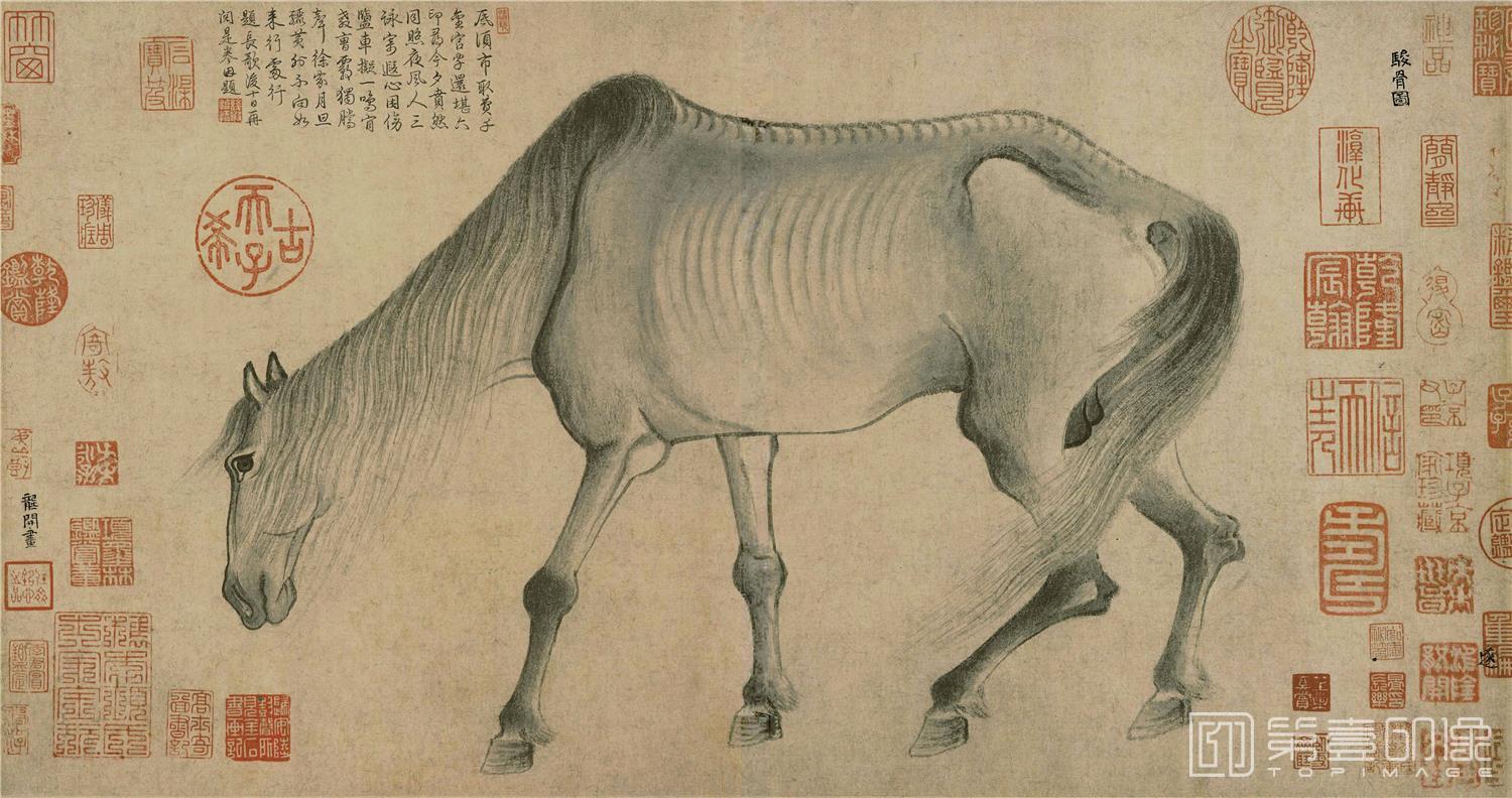 手绘-骏骨图 29.9x56.9