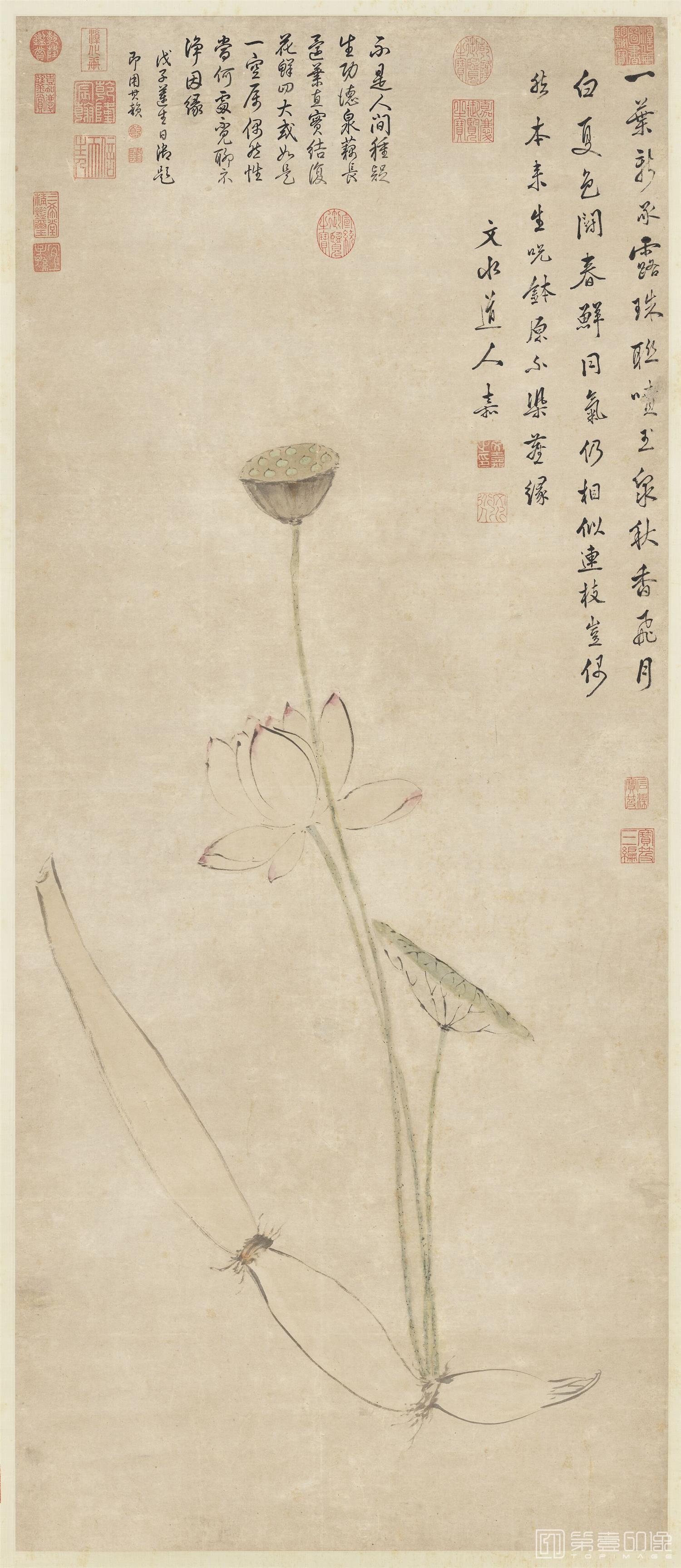 手绘-莲藕净因图 132x56.5