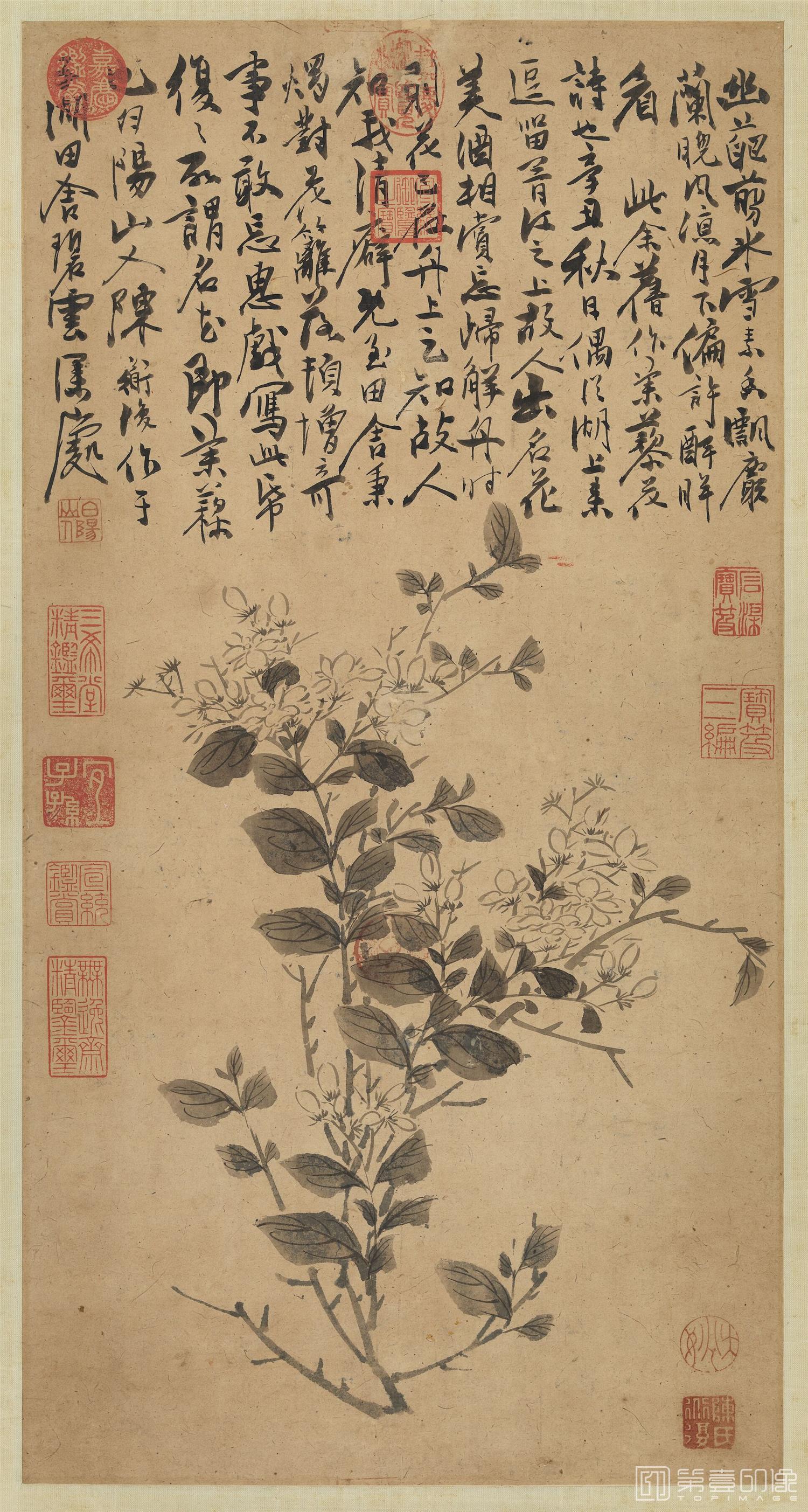 国画-茉莉轴 58.4x30.5