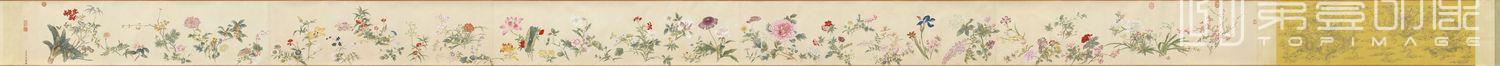 国画-春祺集锦图 42x778.8cm
