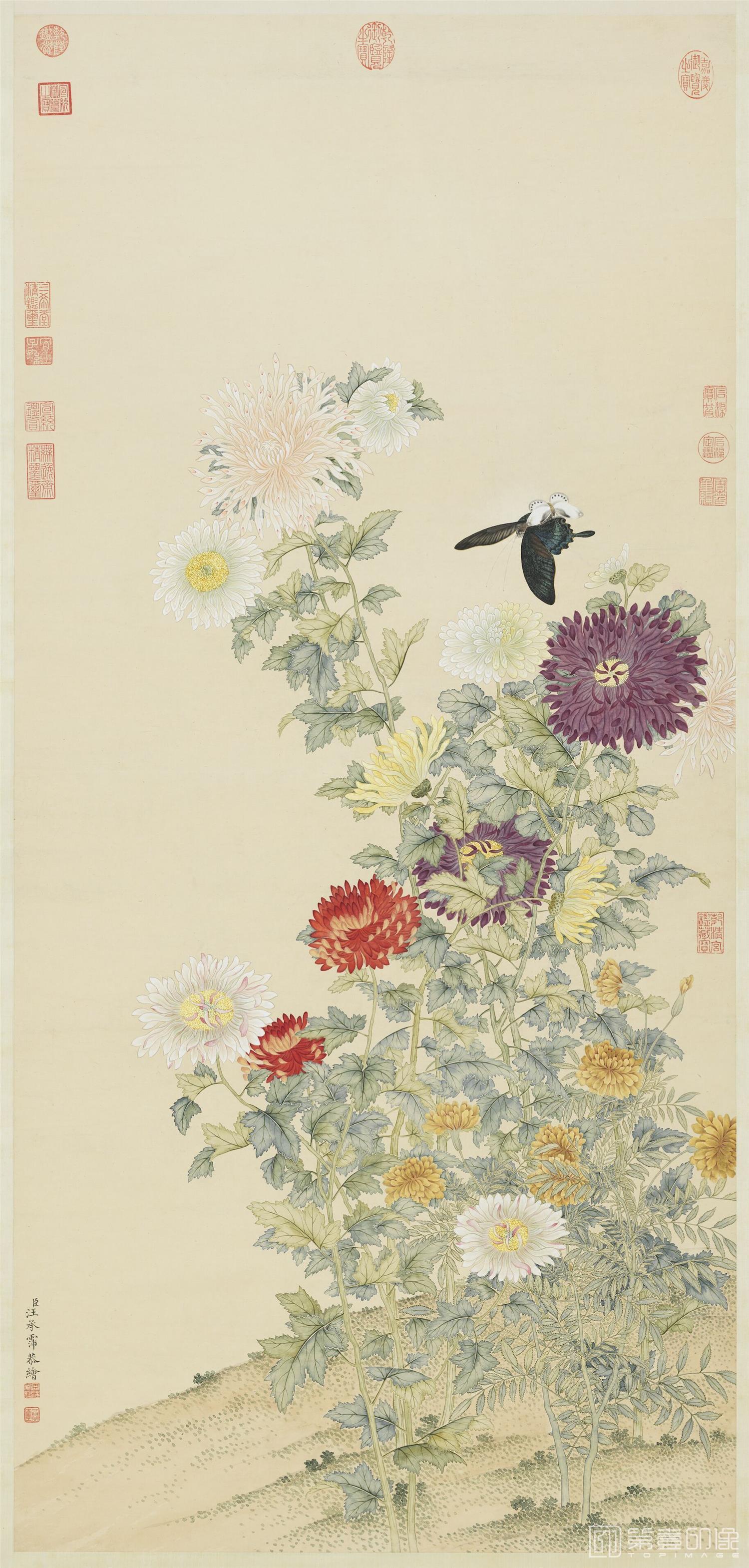 国画-菊轴 133.4x62.5