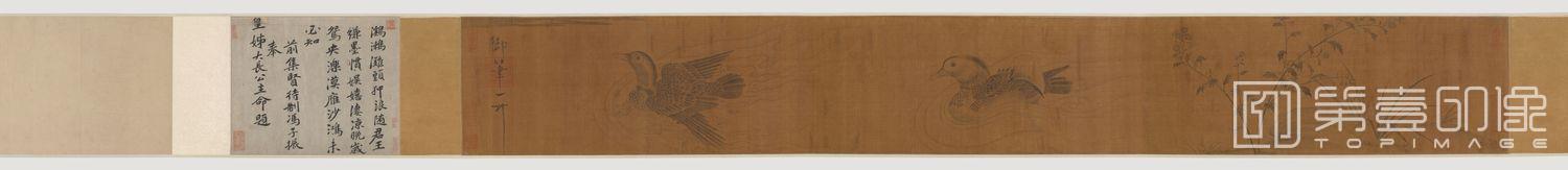 国画-水禽图卷 26.2×200