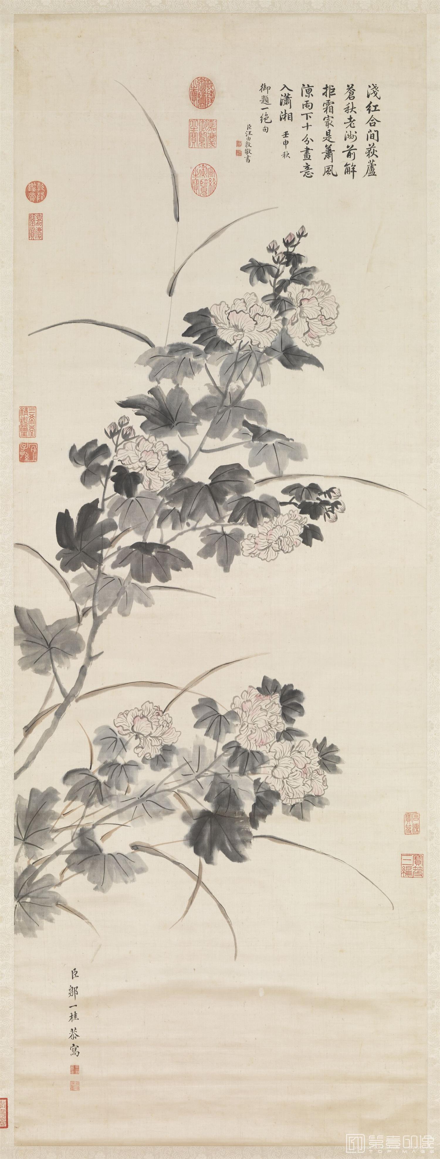 国画-芙蓉轴 144.5x53.3