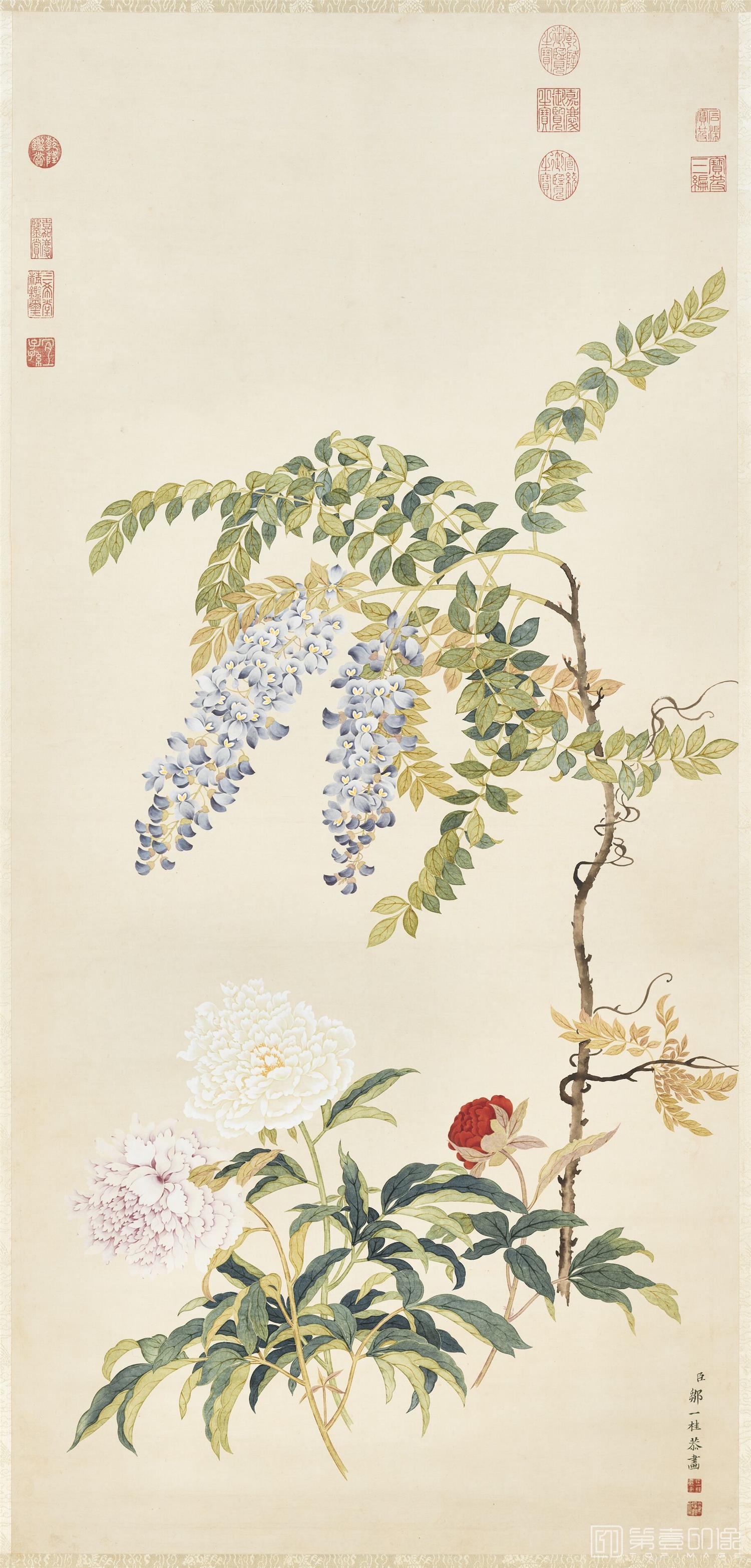 国画-藤花芍药轴 129.1x60.8