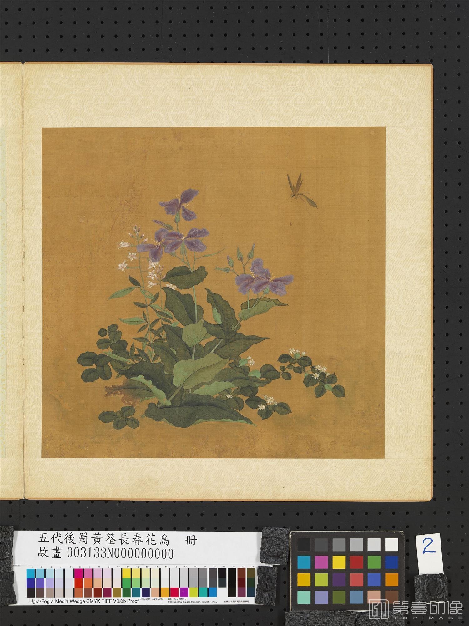 国画-五代后蜀长春花鸟册　花卉草虫 24.2x25