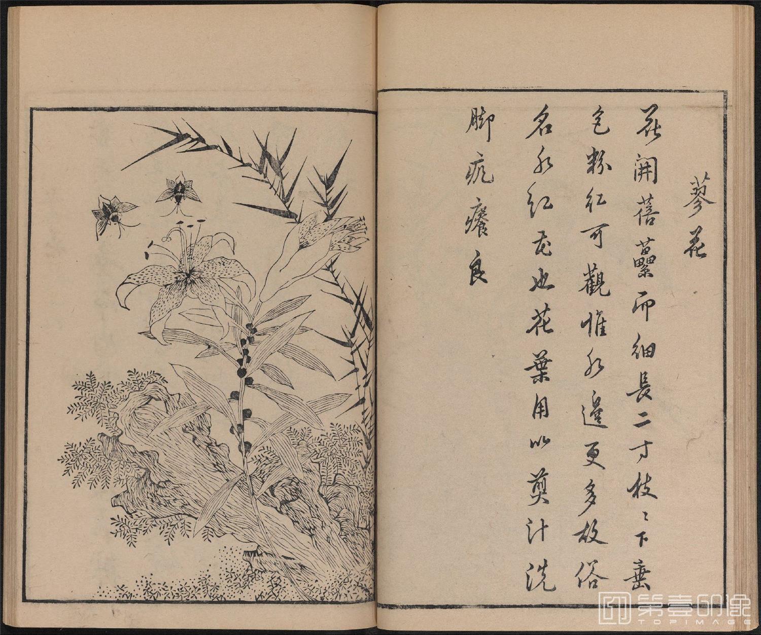 手绘-唐诗画谱.8种.8卷.集雅斋藏板.唐本屋太兵卫.宽文12年刊.1672年-311