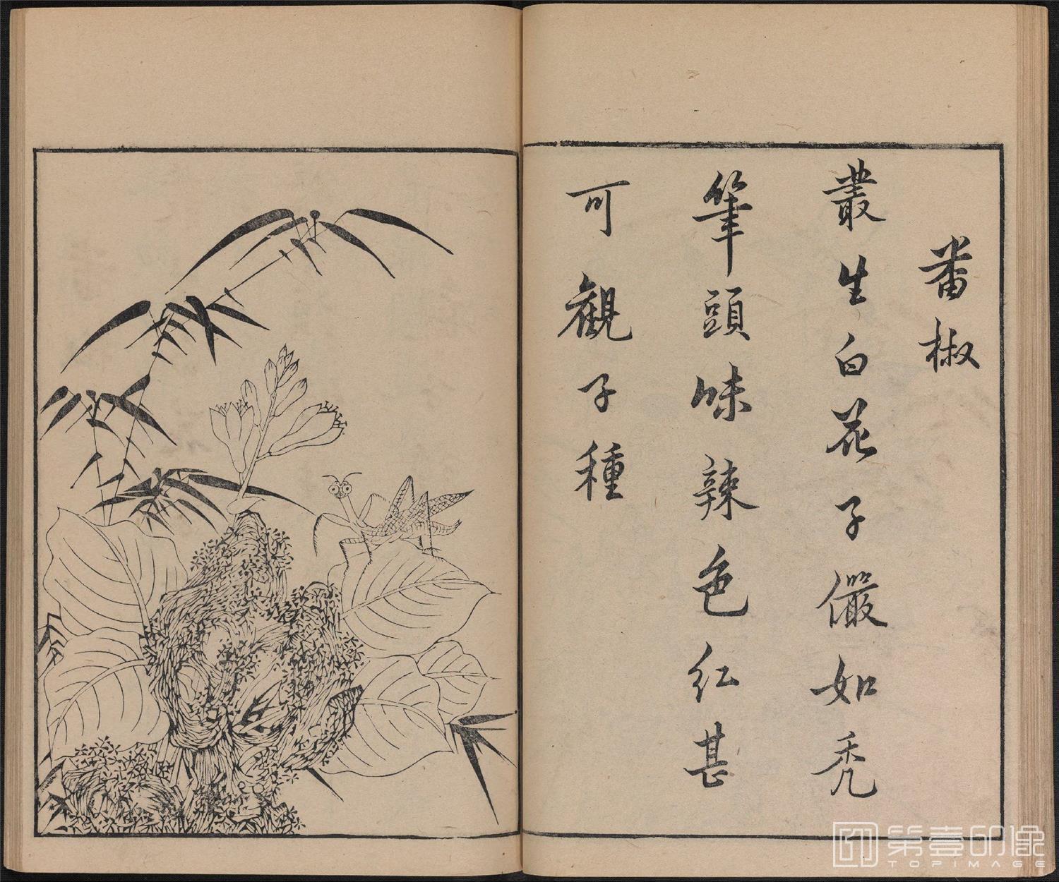 手绘-唐诗画谱.8种.8卷.集雅斋藏板.唐本屋太兵卫.宽文12年刊.1672年-313