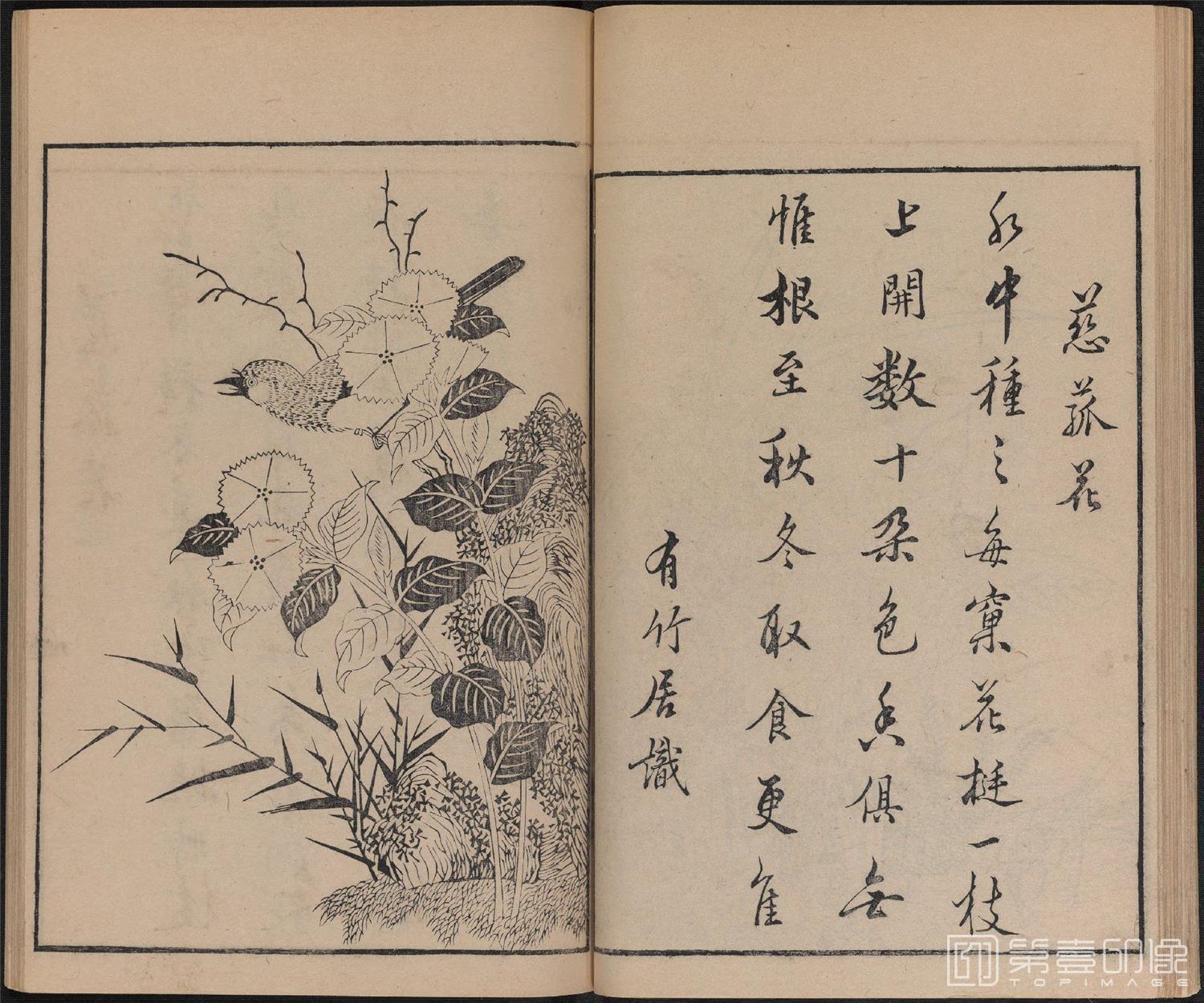 手绘-唐诗画谱.8种.8卷.集雅斋藏板.唐本屋太兵卫.宽文12年刊.1672年-315