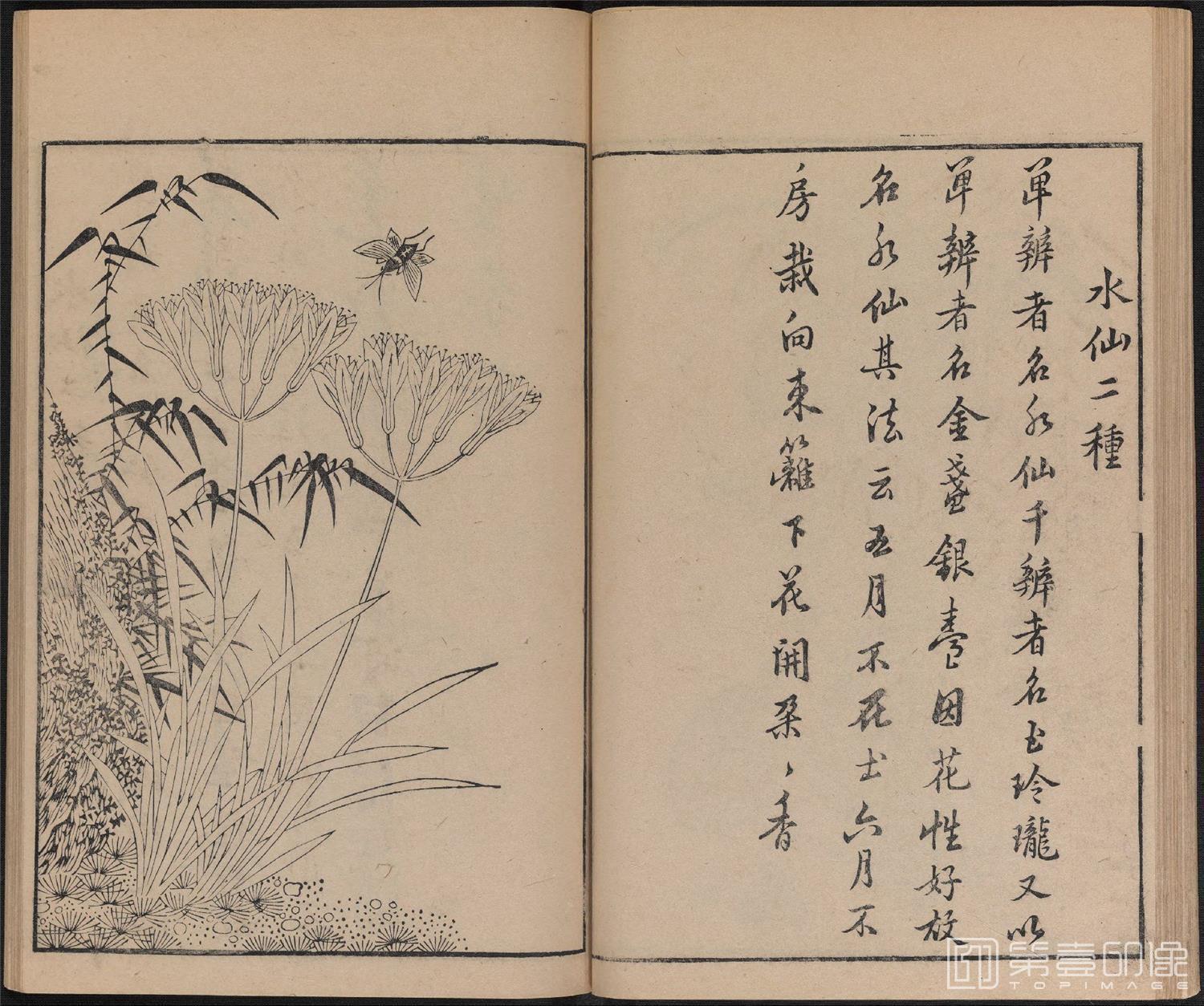 手绘-唐诗画谱.8种.8卷.集雅斋藏板.唐本屋太兵卫.宽文12年刊.1672年-317