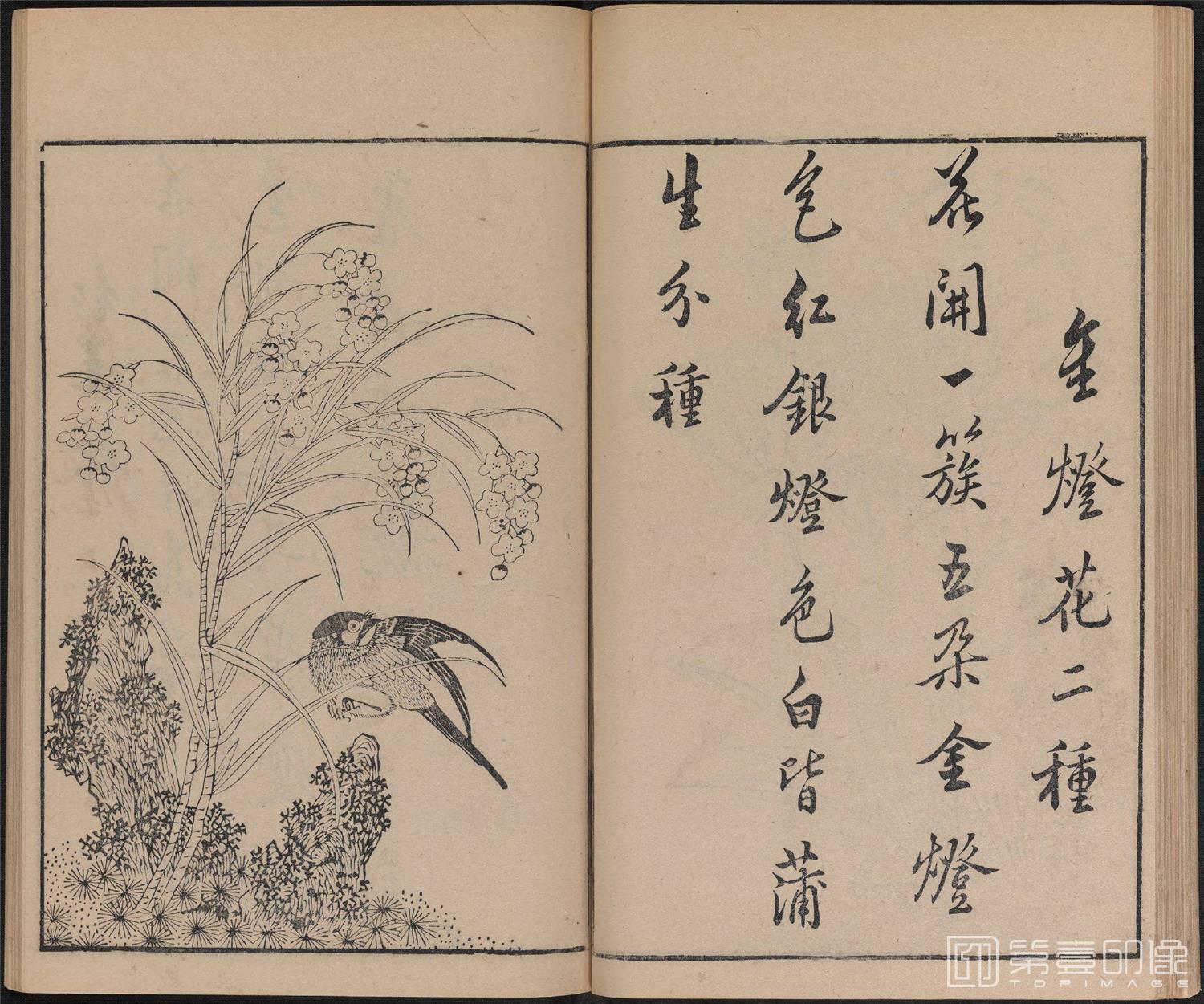 手绘-唐诗画谱.8种.8卷.集雅斋藏板.唐本屋太兵卫.宽文12年刊.1672年-318