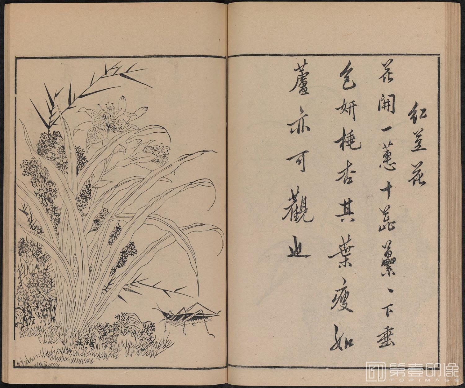 手绘-唐诗画谱.8种.8卷.集雅斋藏板.唐本屋太兵卫.宽文12年刊.1672年-319