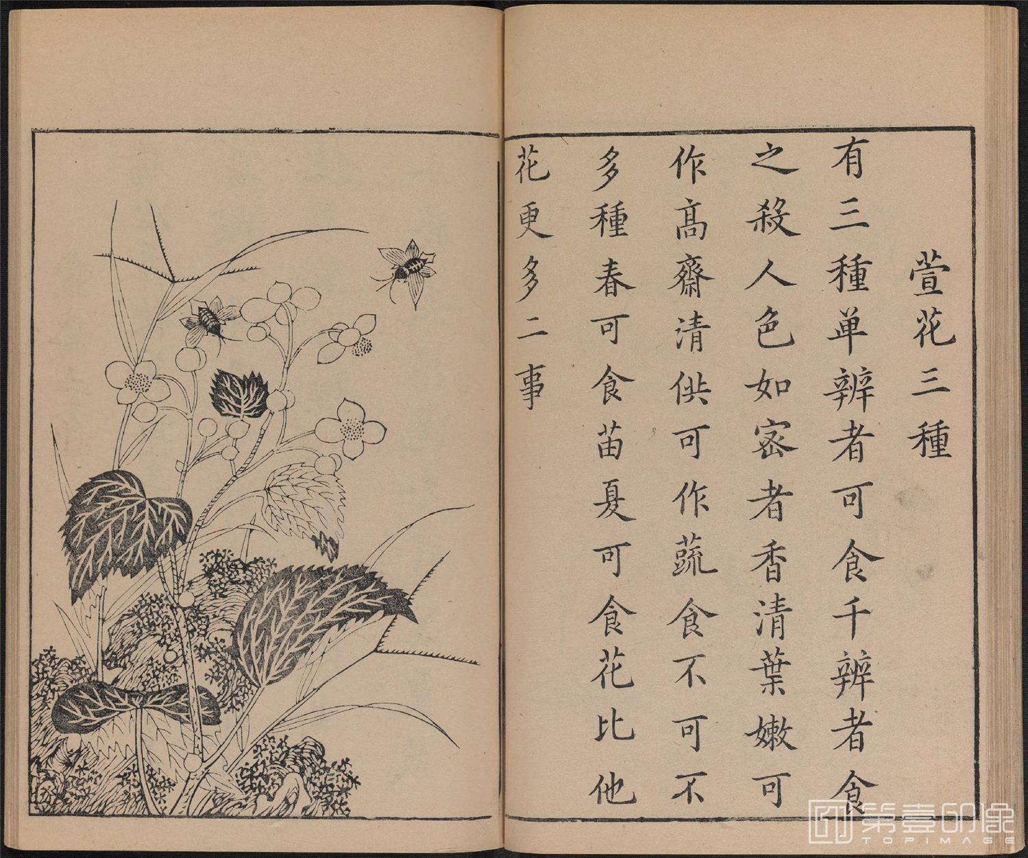 手绘-唐诗画谱.8种.8卷.集雅斋藏板.唐本屋太兵卫.宽文12年刊.1672年-320