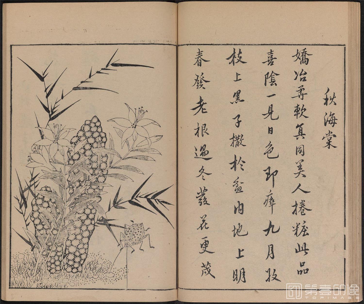 手绘-唐诗画谱.8种.8卷.集雅斋藏板.唐本屋太兵卫.宽文12年刊.1672年-321