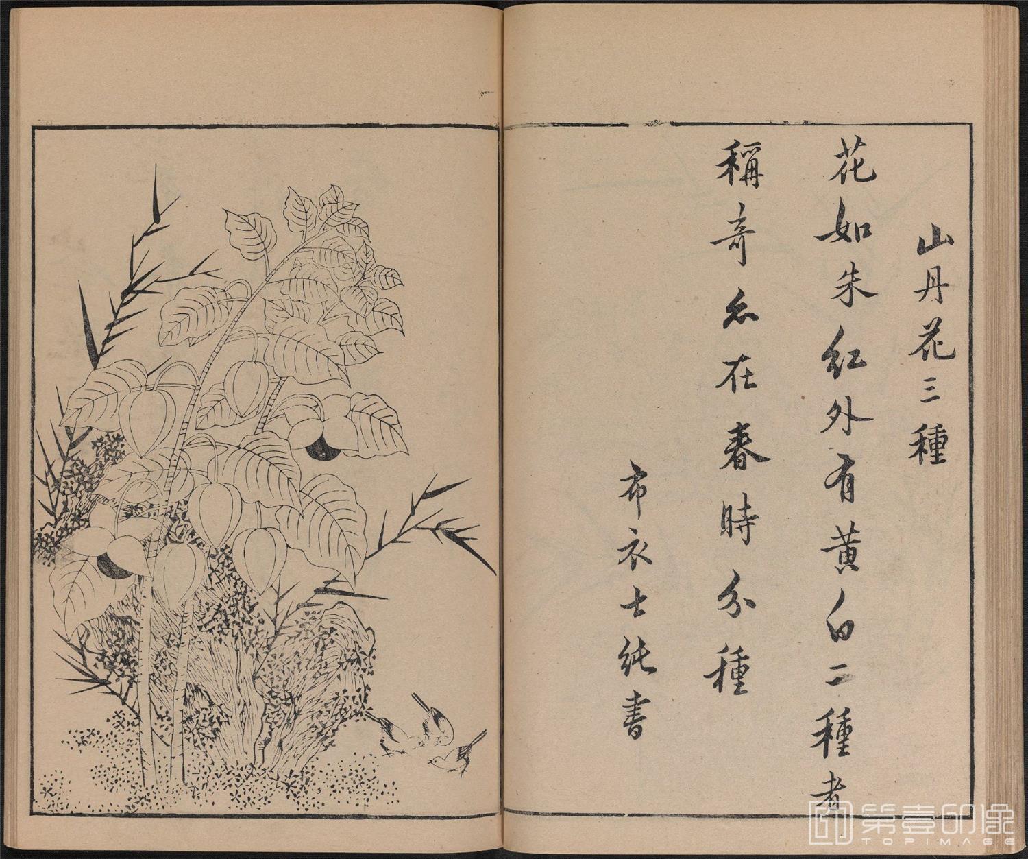 手绘-唐诗画谱.8种.8卷.集雅斋藏板.唐本屋太兵卫.宽文12年刊.1672年-322