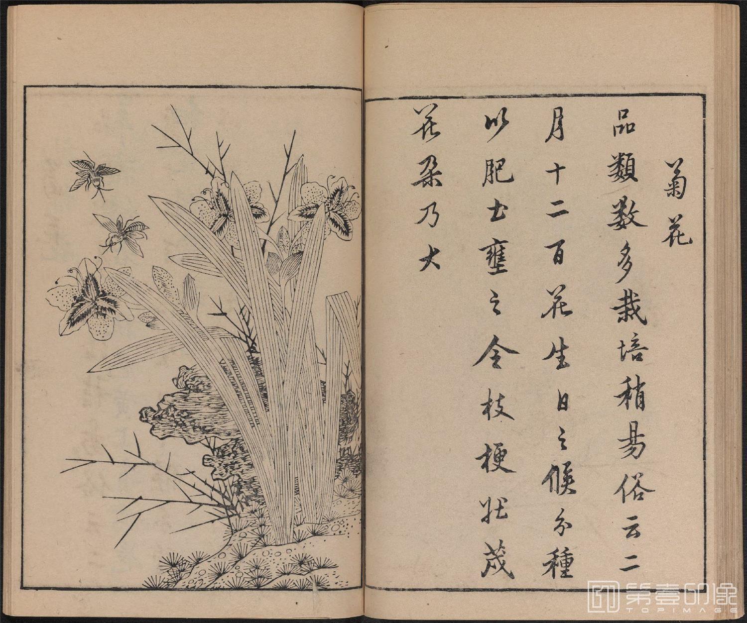 手绘-唐诗画谱.8种.8卷.集雅斋藏板.唐本屋太兵卫.宽文12年刊.1672年-325