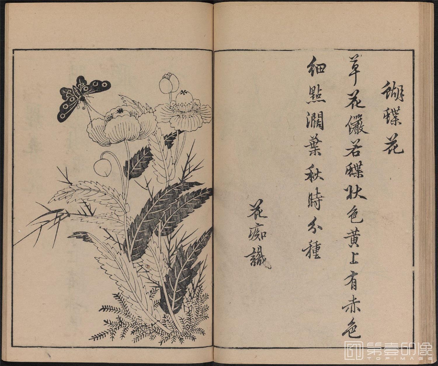 手绘-唐诗画谱.8种.8卷.集雅斋藏板.唐本屋太兵卫.宽文12年刊.1672年-326