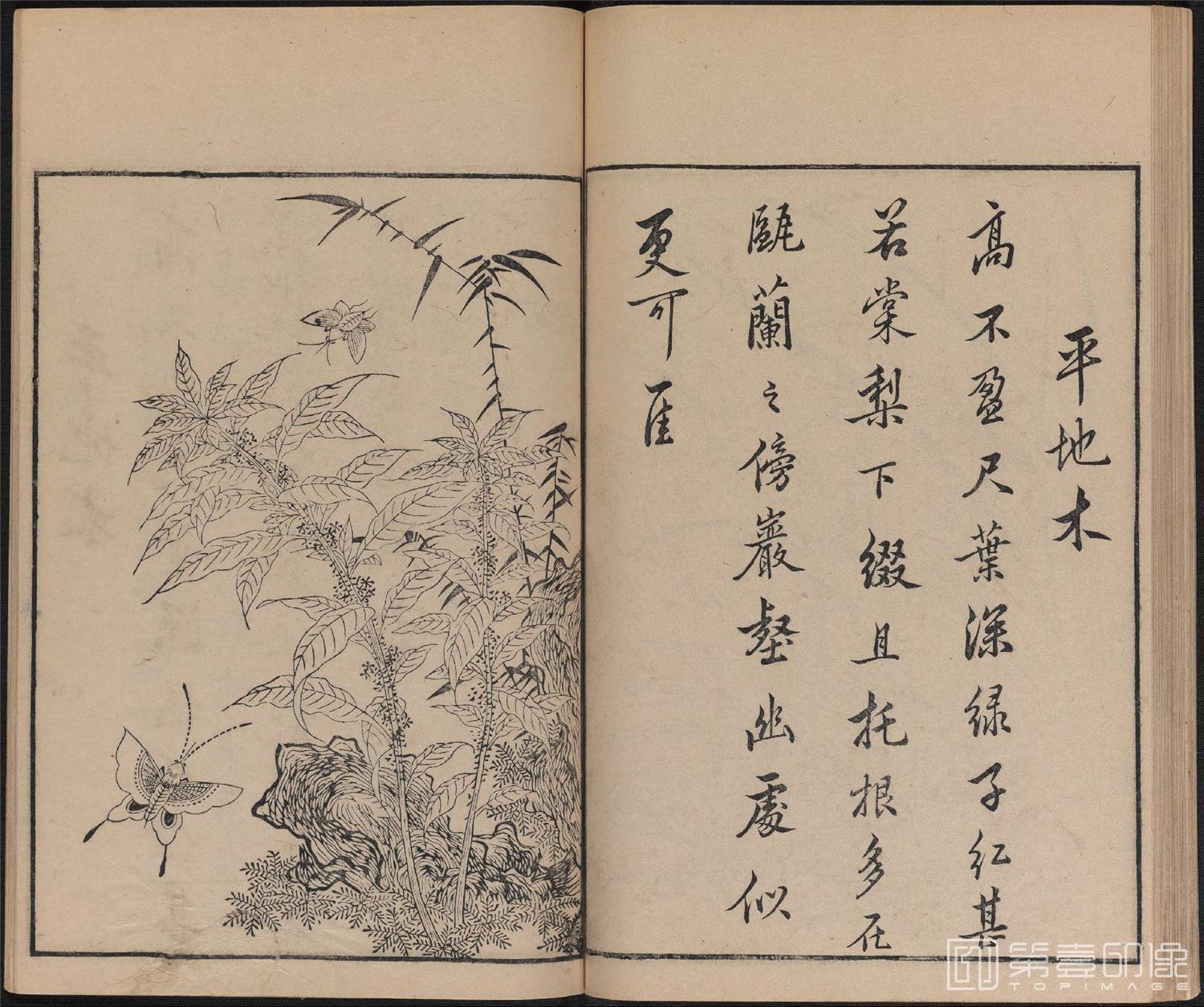 手绘-唐诗画谱.8种.8卷.集雅斋藏板.唐本屋太兵卫.宽文12年刊.1672年-329