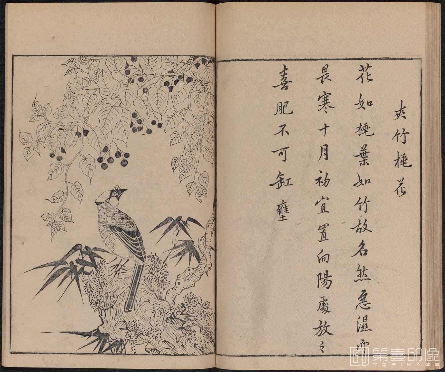手绘-唐诗画谱.8种.8卷.集雅斋藏板.唐本屋太兵卫.宽文12年刊.1672年-331