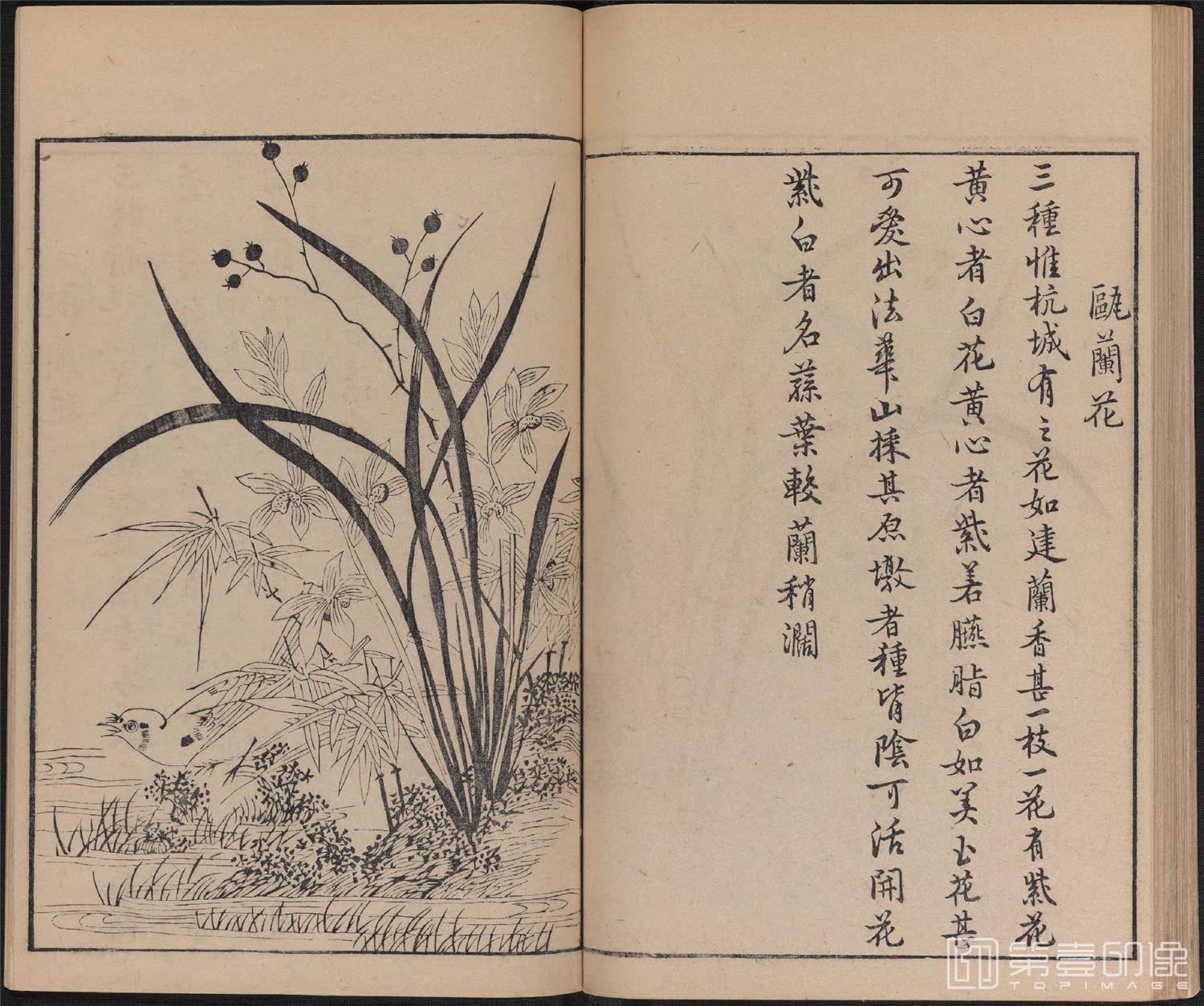 手绘-唐诗画谱.8种.8卷.集雅斋藏板.唐本屋太兵卫.宽文12年刊.1672年-333