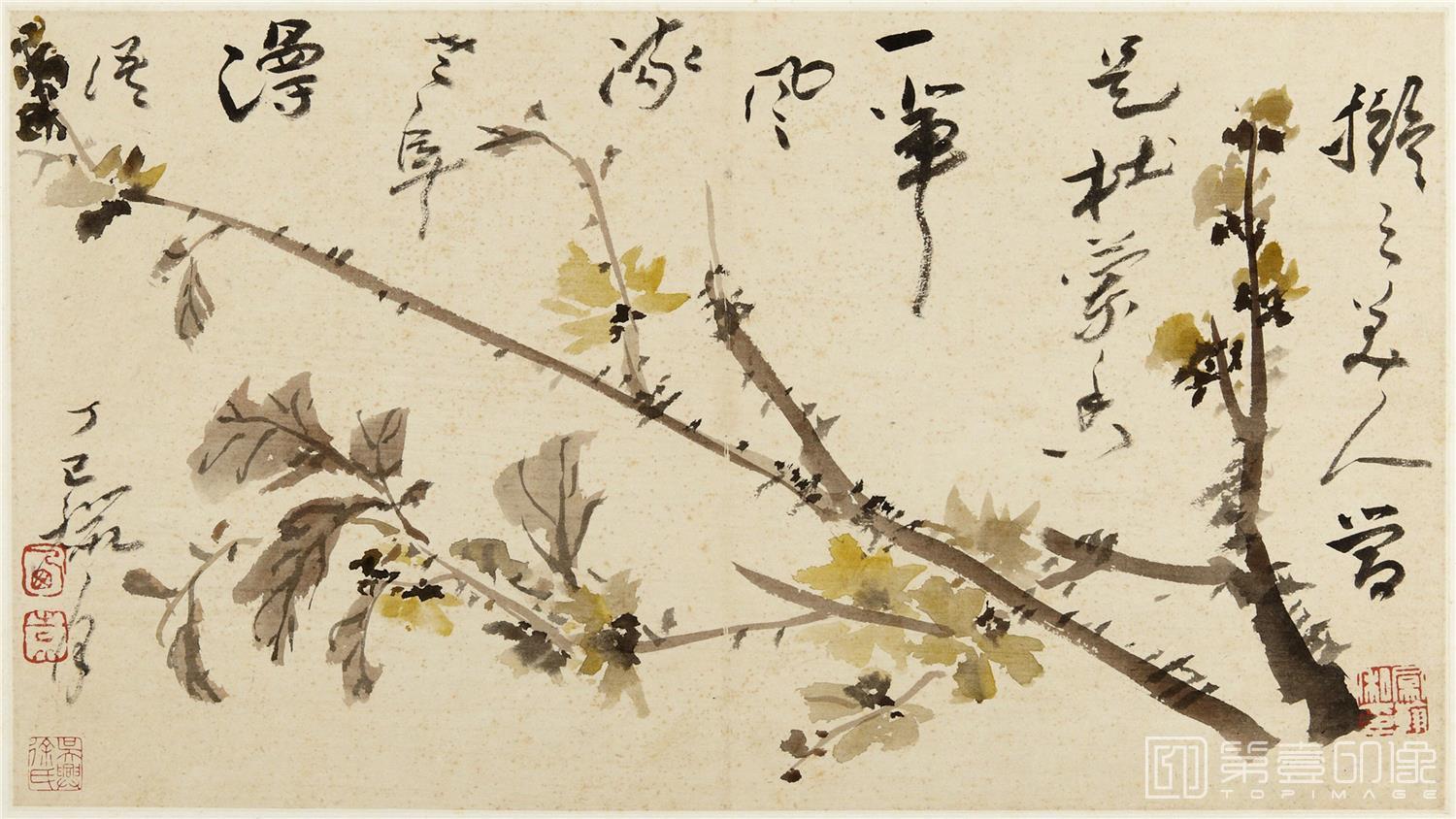 国画-墨花图册-12 30x26cm
