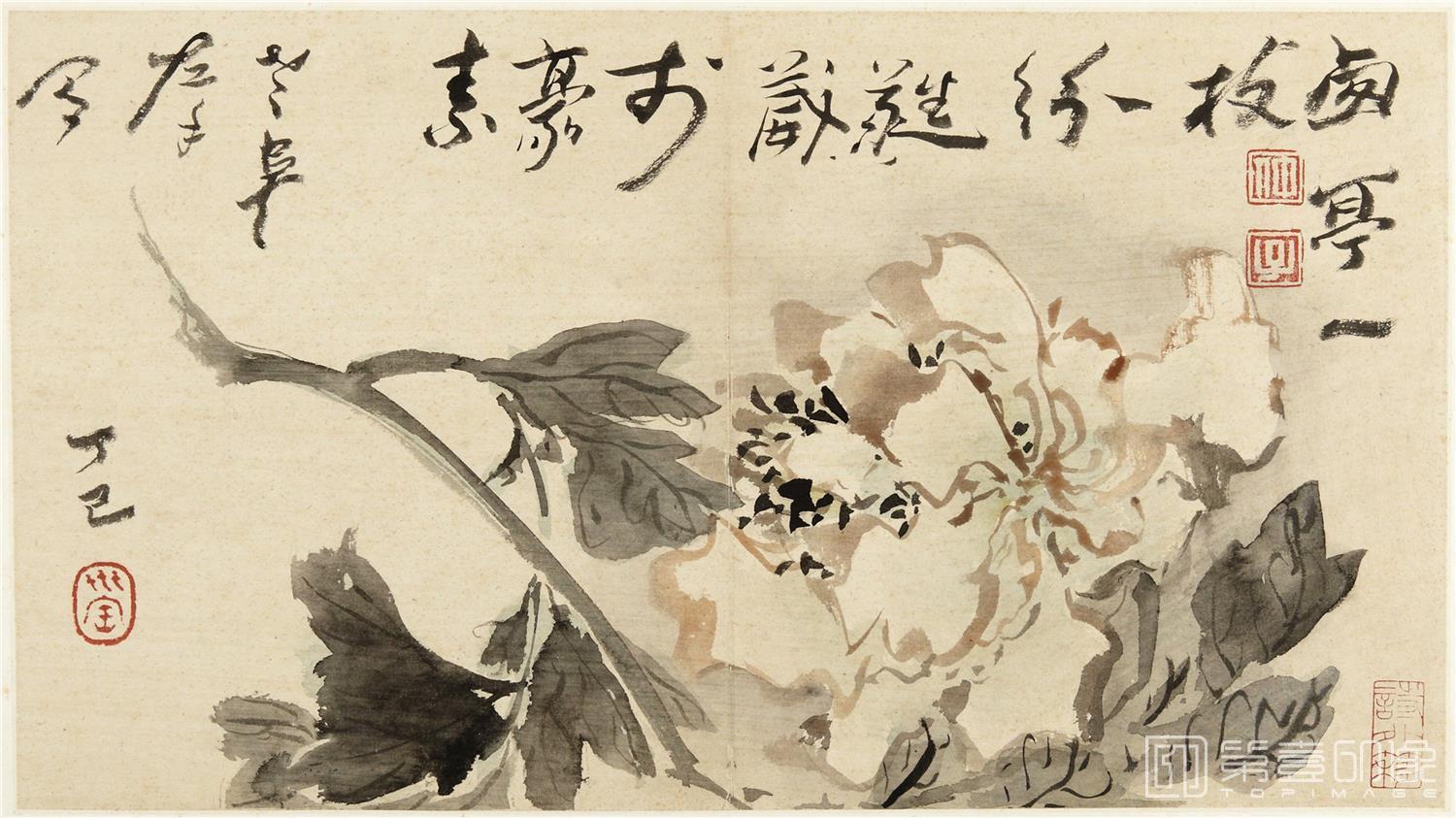国画-墨花图册-6 30x26cm
