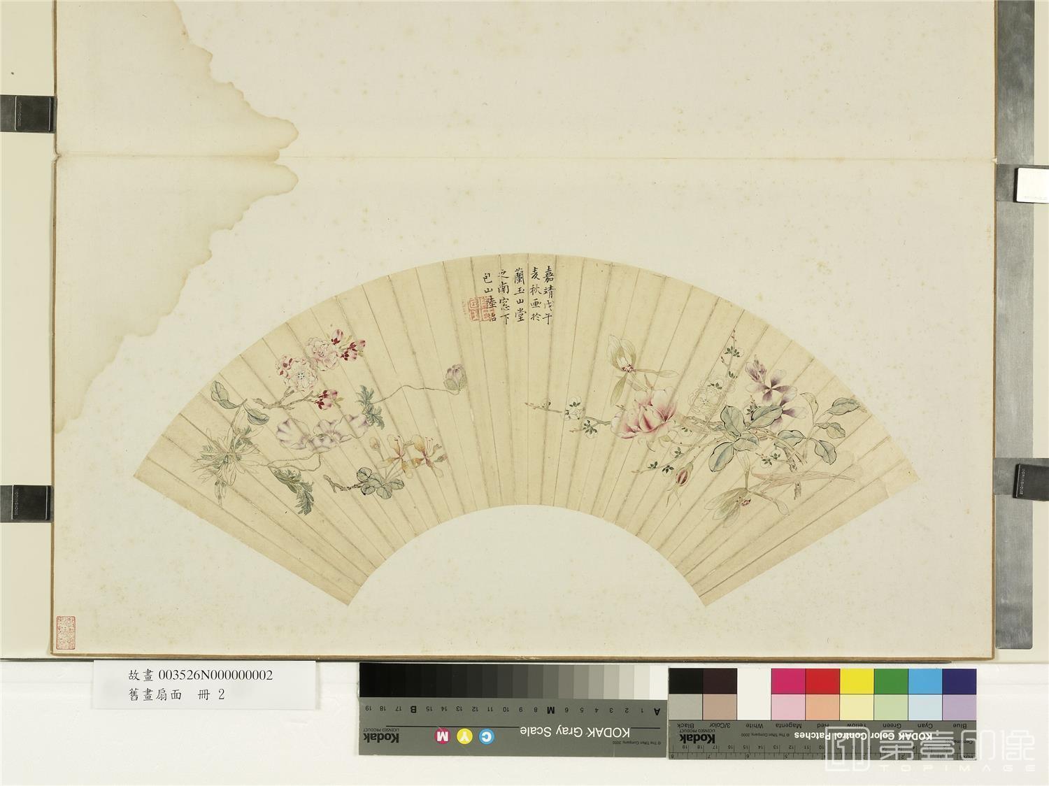 国画-旧画扇面册　明花卉 16.7x52.5