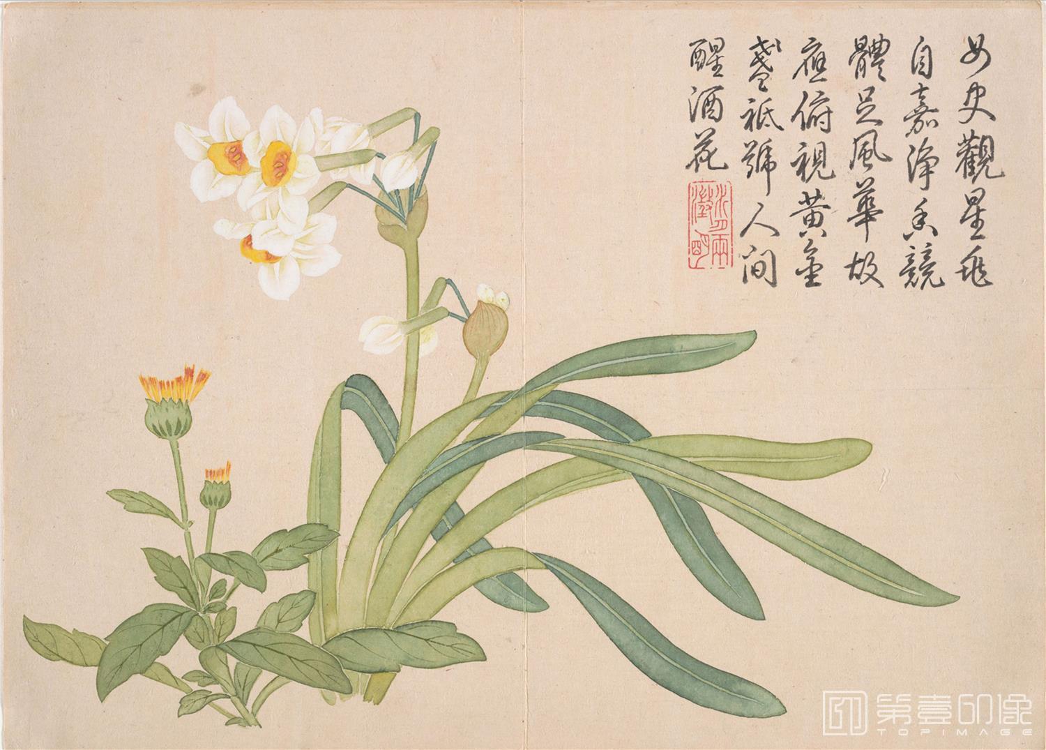 国画-山水花鸟册12开-04