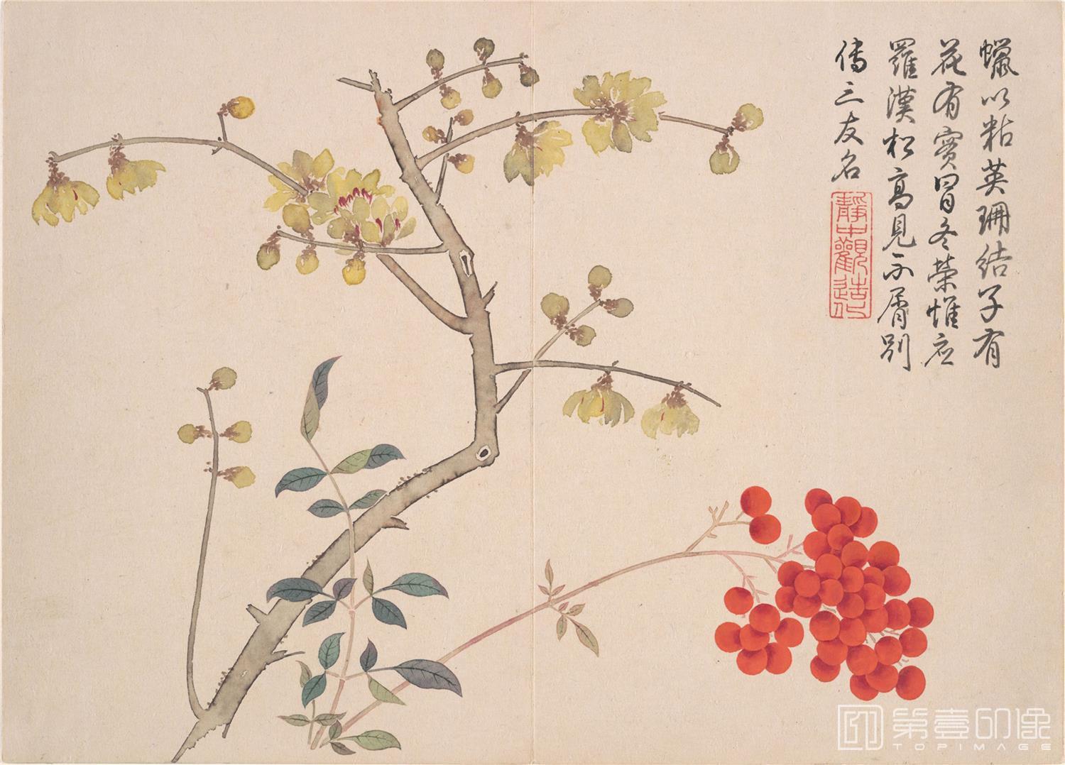 国画-山水花鸟册12开-07