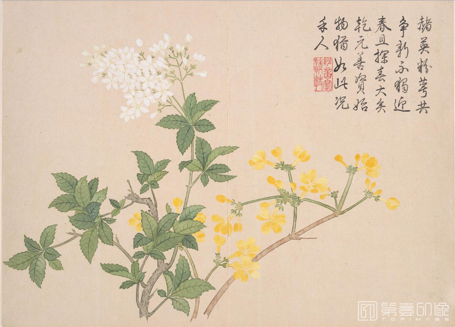 国画-山水花鸟册12开-09