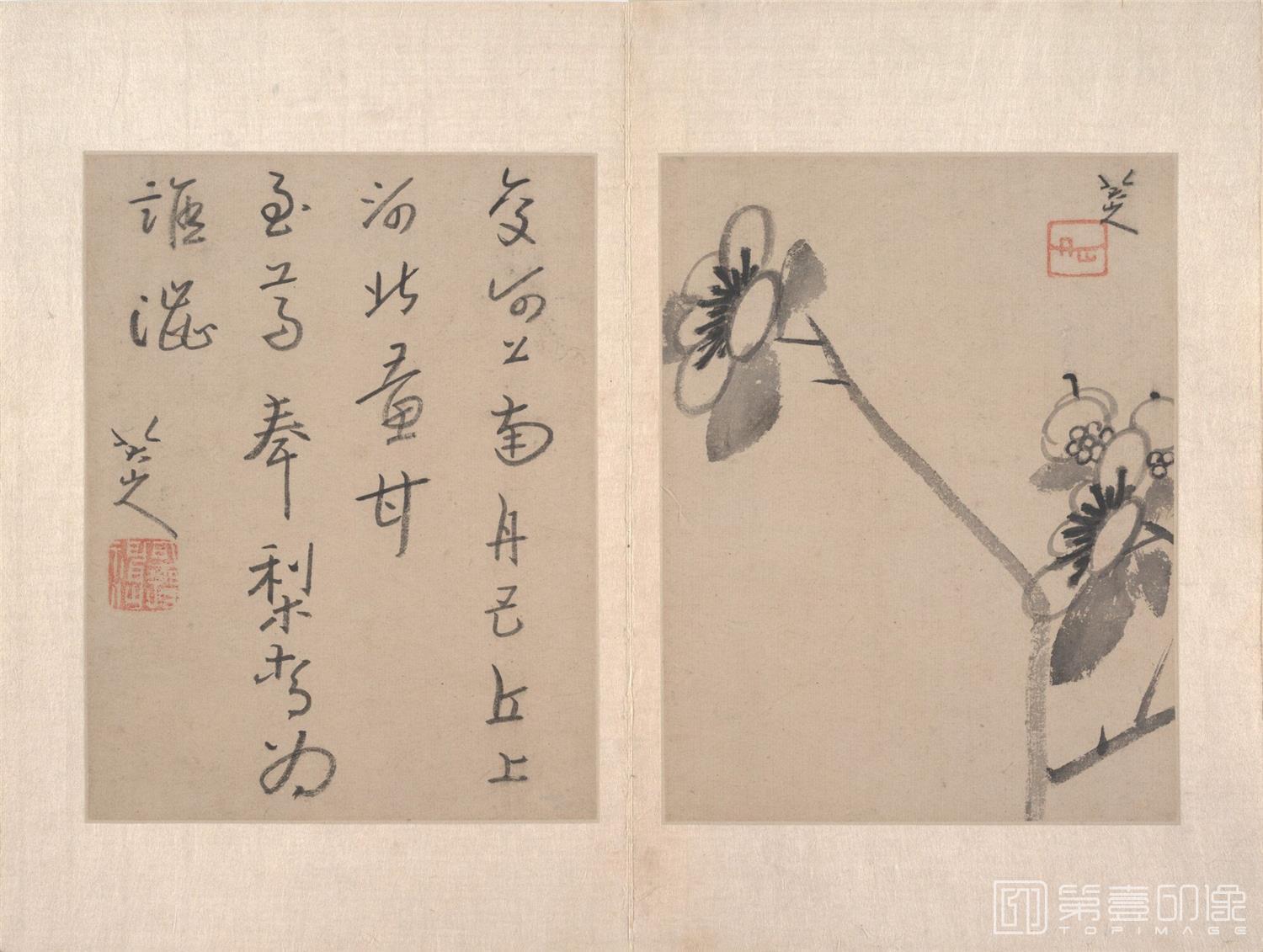 国画-八大山人绘画册页.写意文人12帧.山水12帧.清代-012