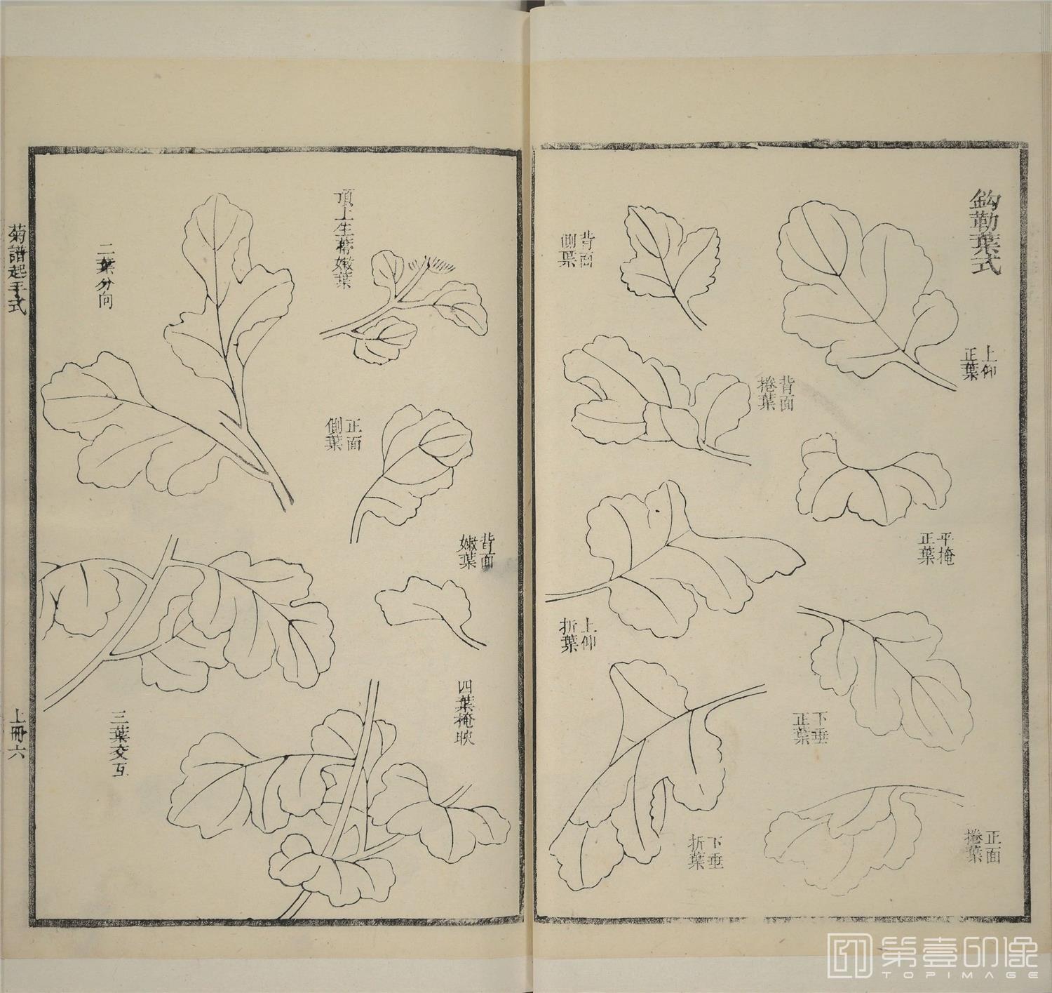 手绘-芥子园画传.二集.四卷.清嘉庆五年金陵芥子园重刊彩色套印本-188